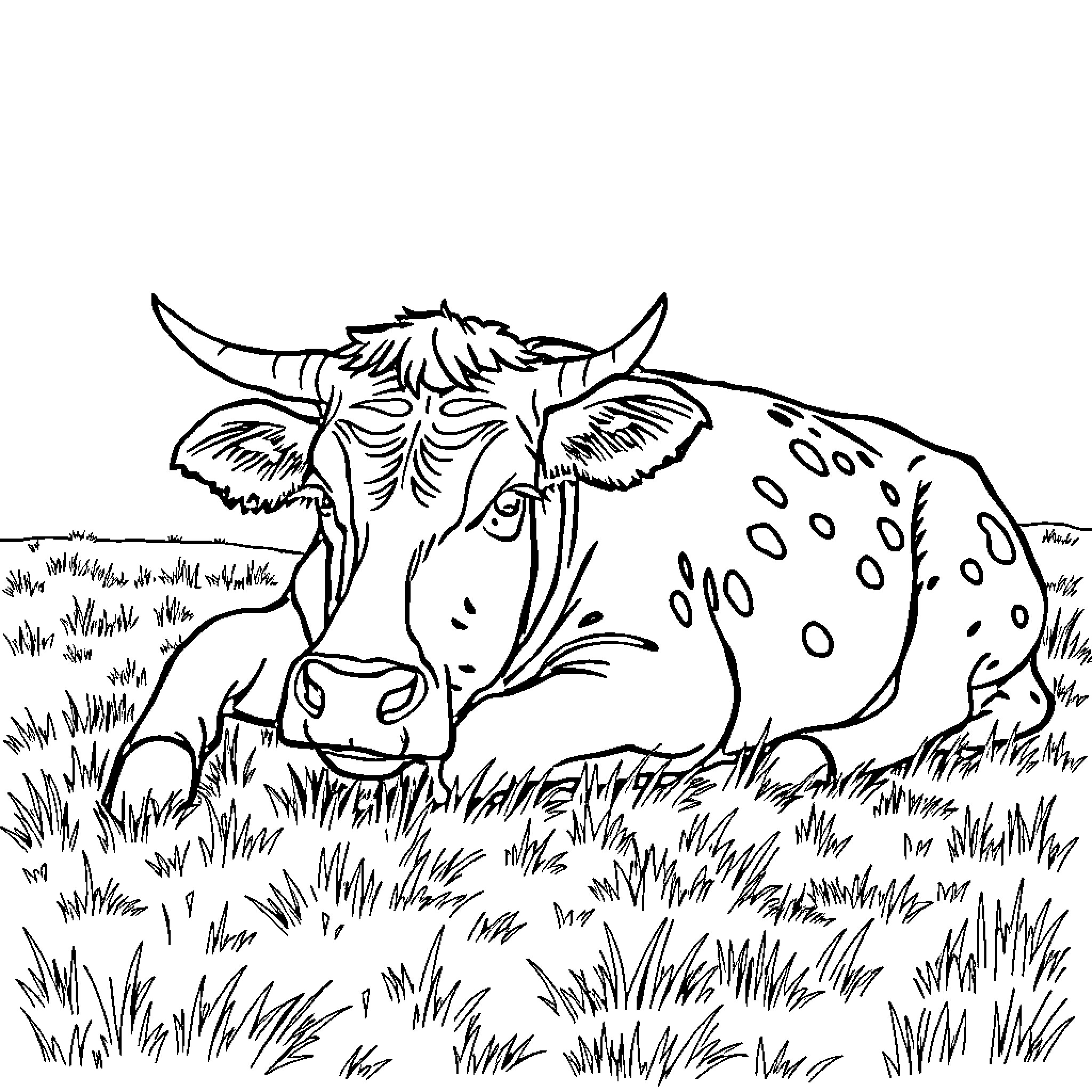 Cow lounging in a grassy field Coloring Page (free black-and-white line drawing printable PDF for all, from beginners to advanced learners, including children, teens, adults, and seniors)