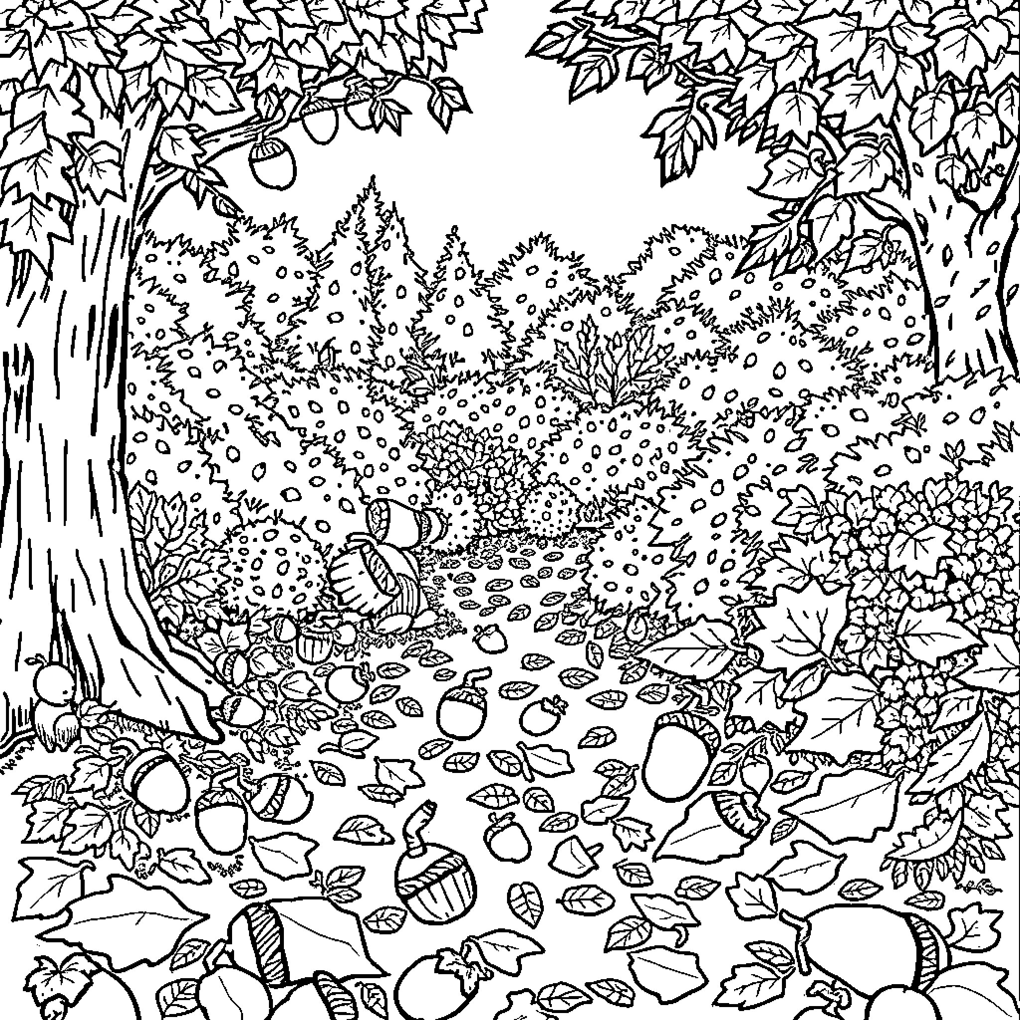 Acorn Forest Exploration Coloring Page (free black-and-white line drawing printable PDF for all, from beginners to advanced learners, including children, teens, adults, and seniors)