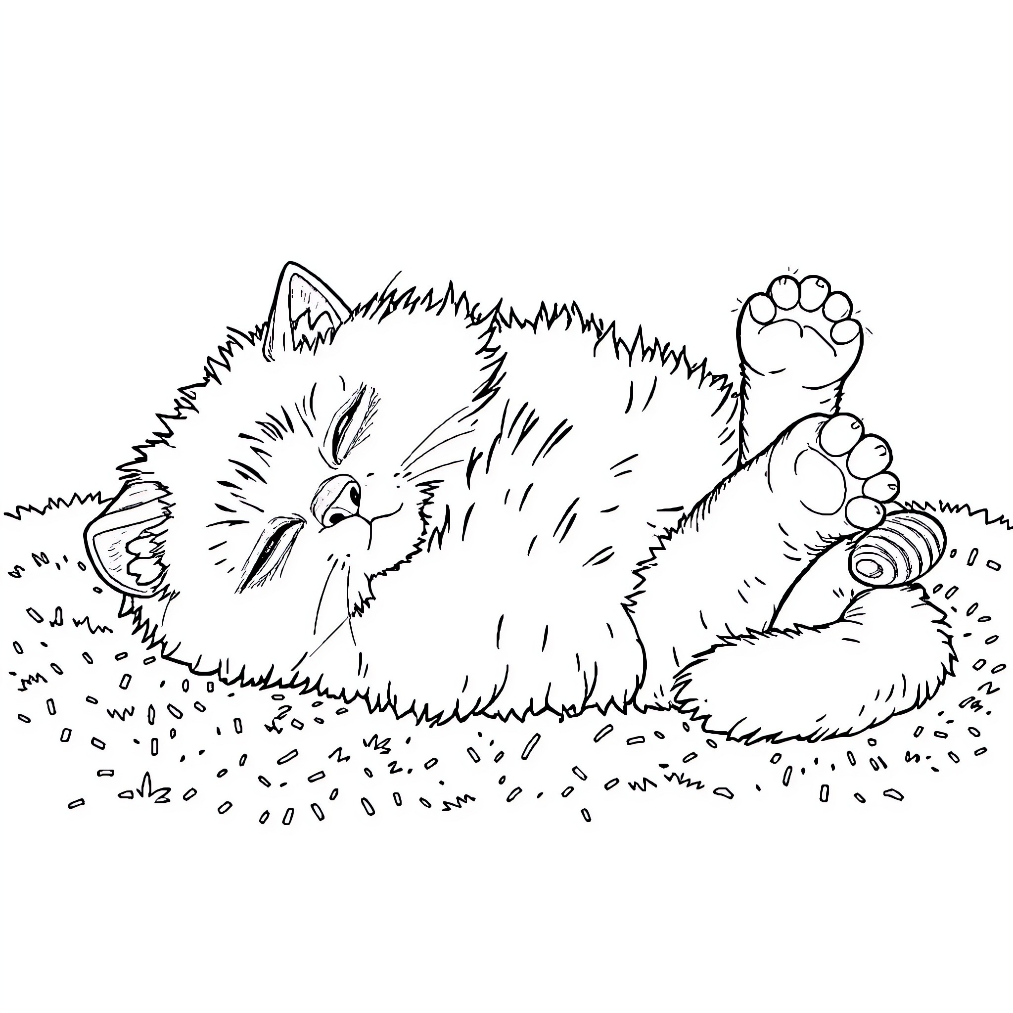 Cat playing with toys on the ground Coloring Page (free black-and-white line drawing printable PDF for all, from beginners to advanced learners, including children, teens, adults, and seniors)