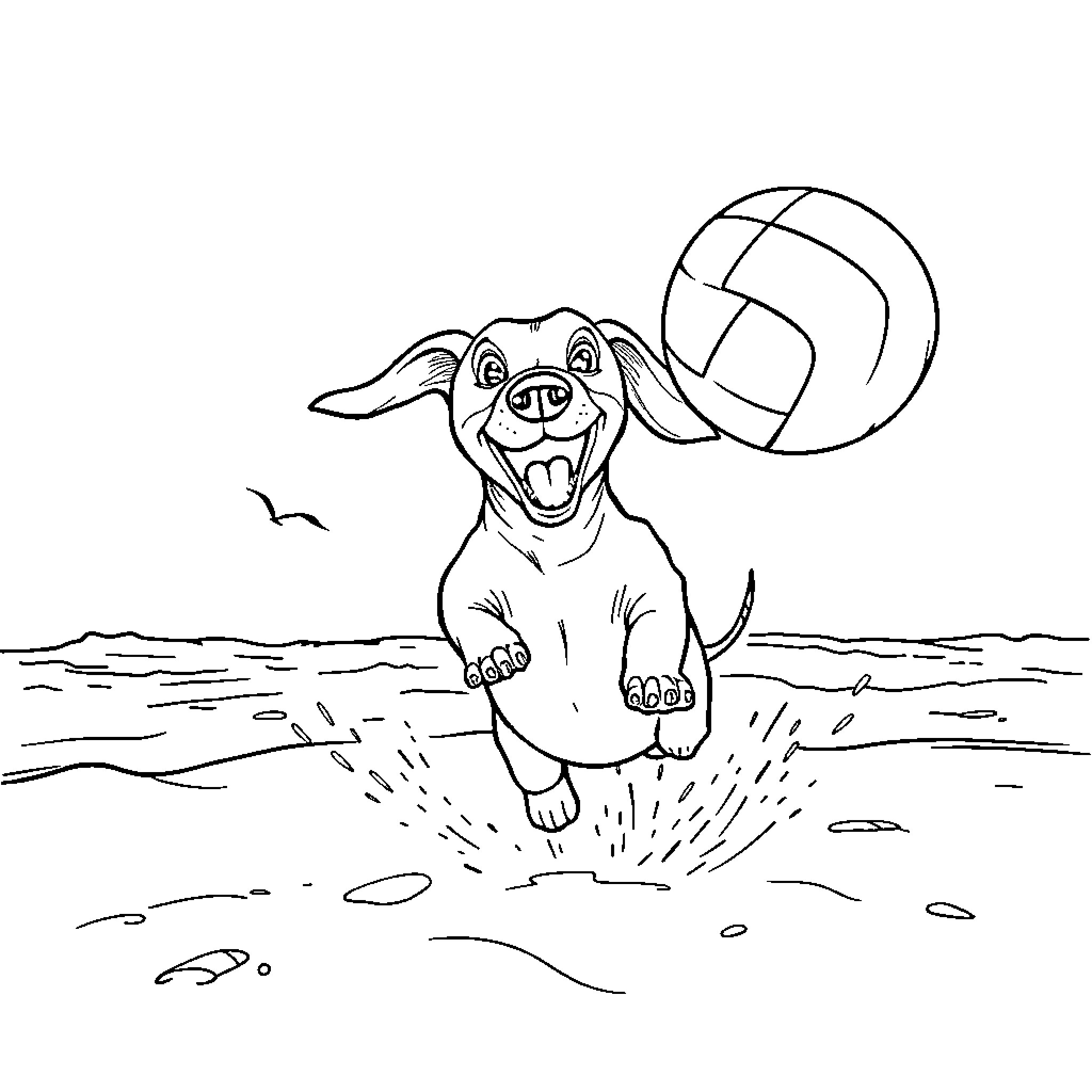 Dachshund playing joyfully with volleyball on the beach Coloring Page (free black-and-white line drawing printable PDF for all, from beginners to advanced learners, including children, teens, adults, and seniors)