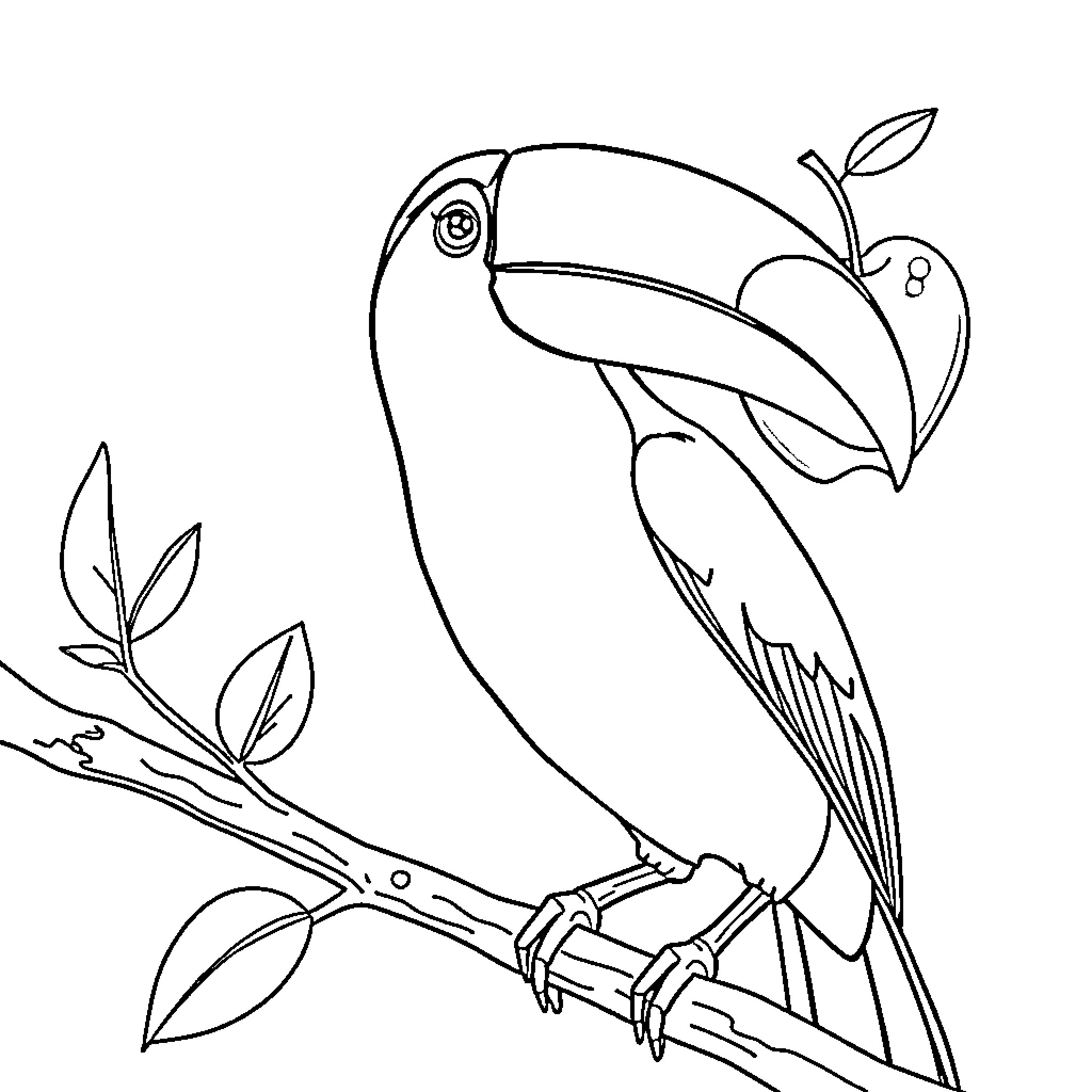 Toucan perched on a branch Coloring Page (free black-and-white line drawing printable PDF for all, from beginners to advanced learners, including children, teens, adults, and seniors)