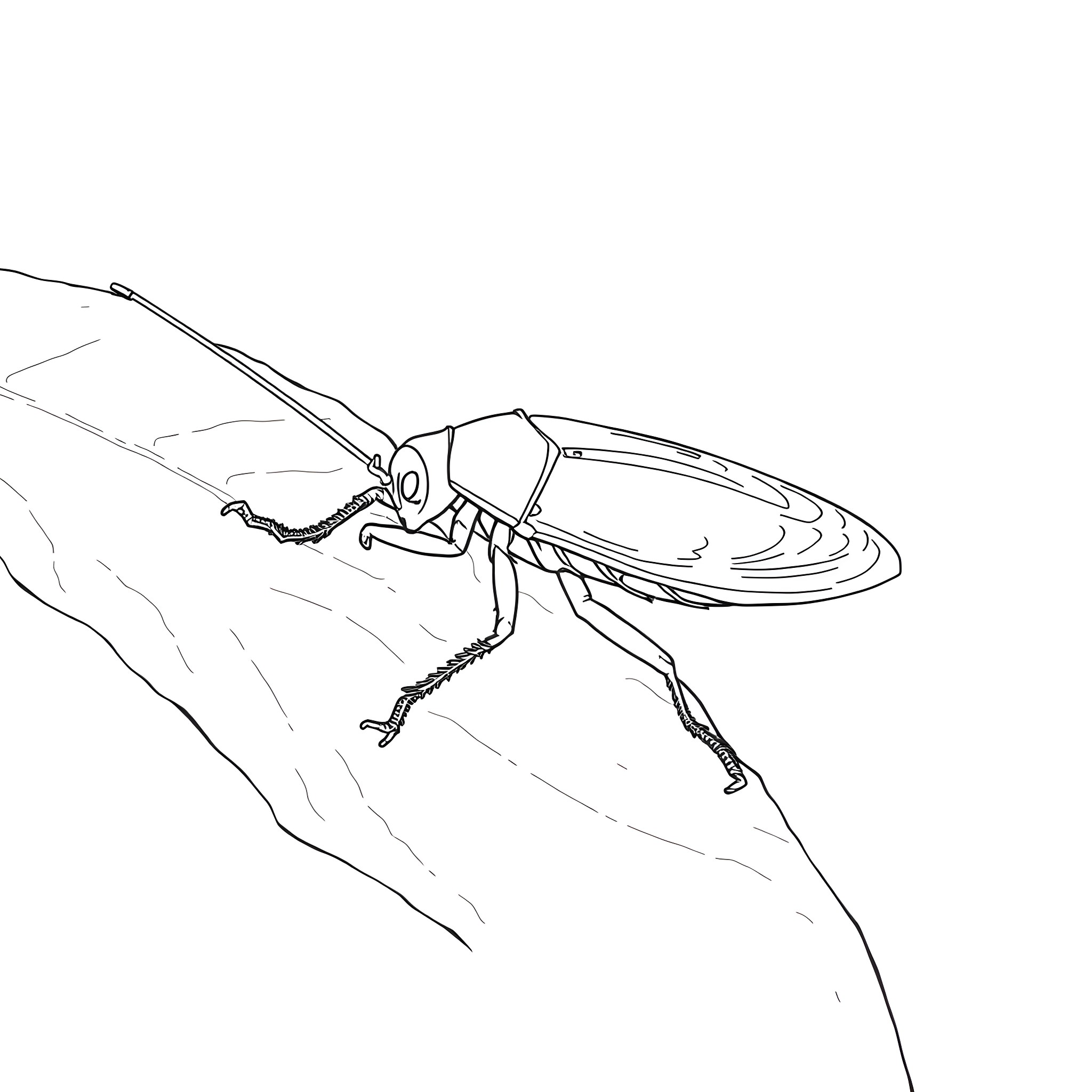 Cockroach perched on a rock Coloring Page (free black-and-white line drawing printable PDF for all, from beginners to advanced learners, including children, teens, adults, and seniors)