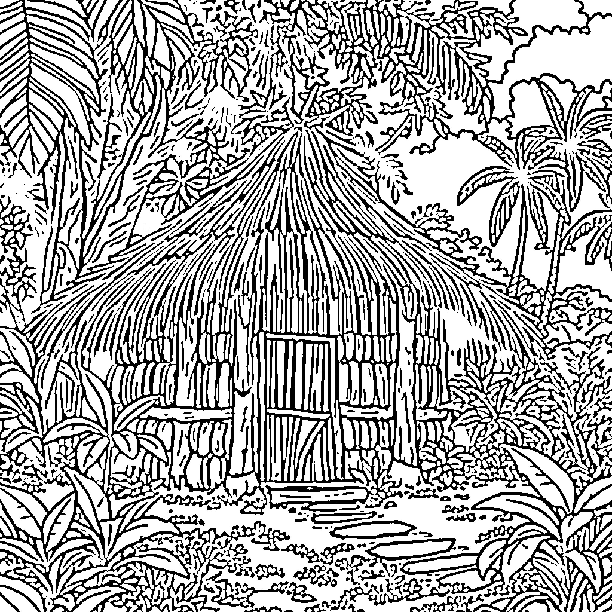 Case of a Tropical Hut Surrounded by Lush Vegetation Coloring Page (free black-and-white line drawing printable PDF for all, from beginners to advanced learners, including children, teens, adults, and seniors)
