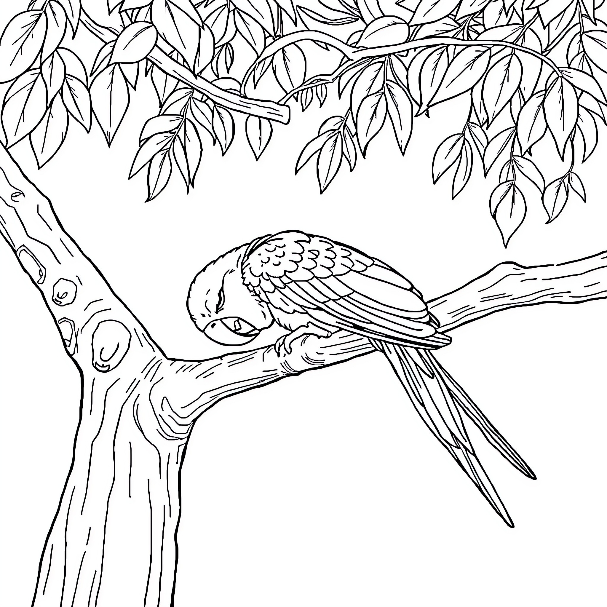 Parrot perching on tree branch surrounded by leaves Coloring Page (free black-and-white line drawing printable PDF for all, from beginners to advanced learners, including children, teens, adults, and seniors)