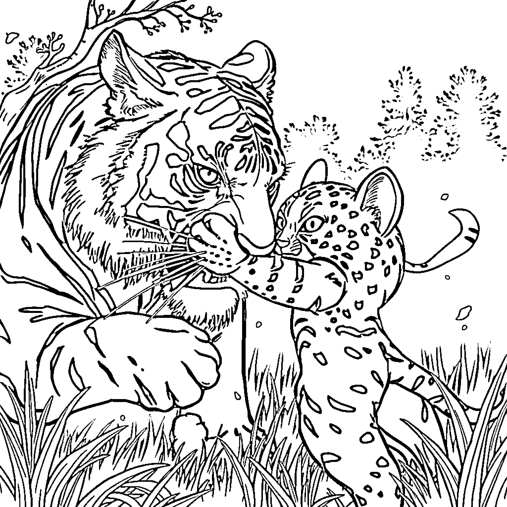 Tiger Man in the Jungle Gazing Intently Coloring Page (free black-and-white line drawing printable PDF for all, from beginners to advanced learners, including children, teens, adults, and seniors)