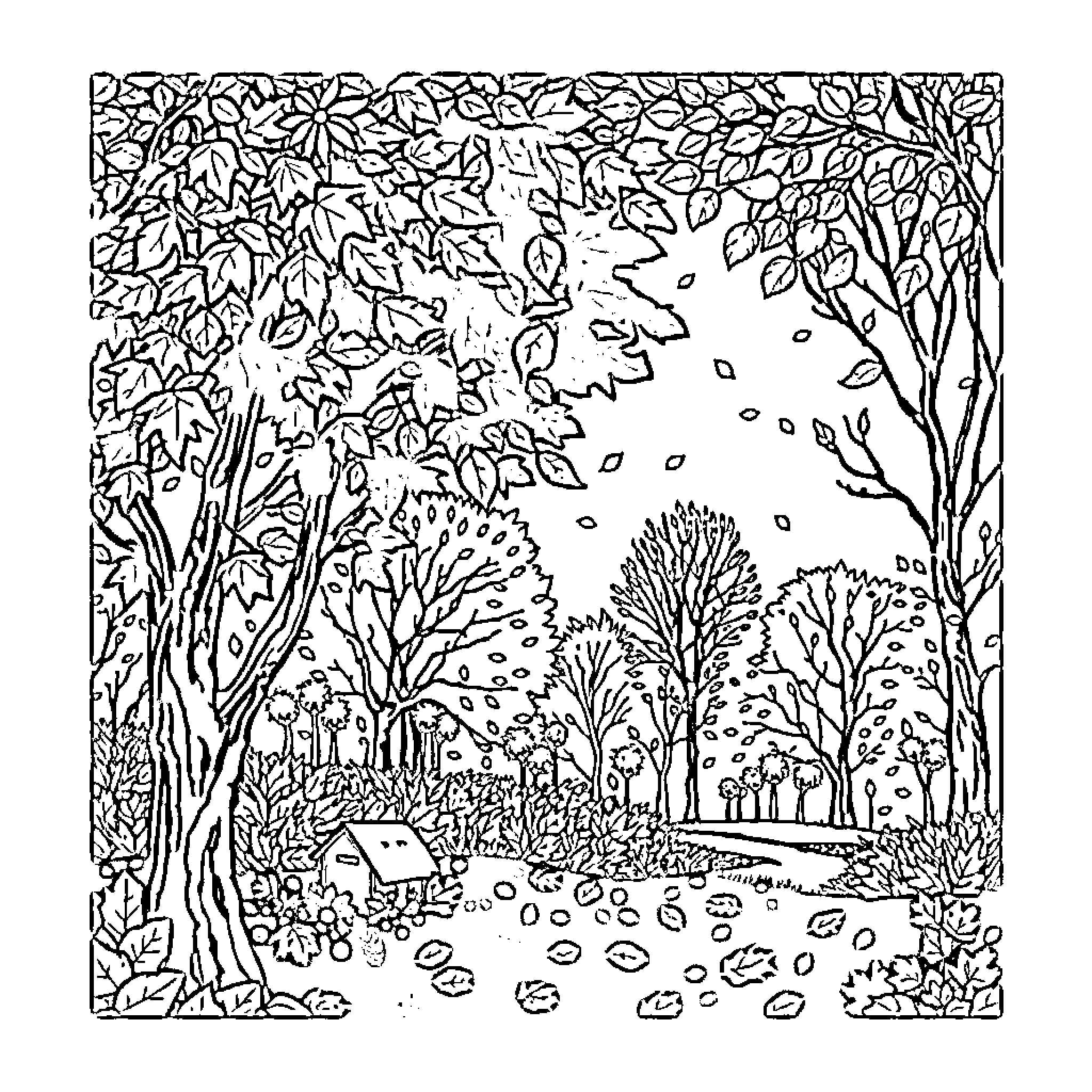 November Autumn Forest Landscape with Falling Leaves Coloring Page (free black-and-white line drawing printable PDF for all, from beginners to advanced learners, including children, teens, adults, and seniors)
