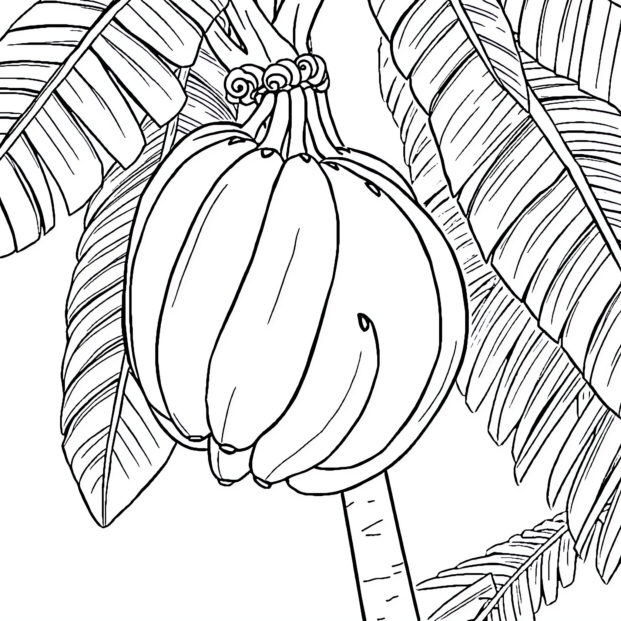 Banana Cluster Amidst Tropical Foliage Coloring Page (free black-and-white line drawing printable PDF for all, from beginners to advanced learners, including children, teens, adults, and seniors)