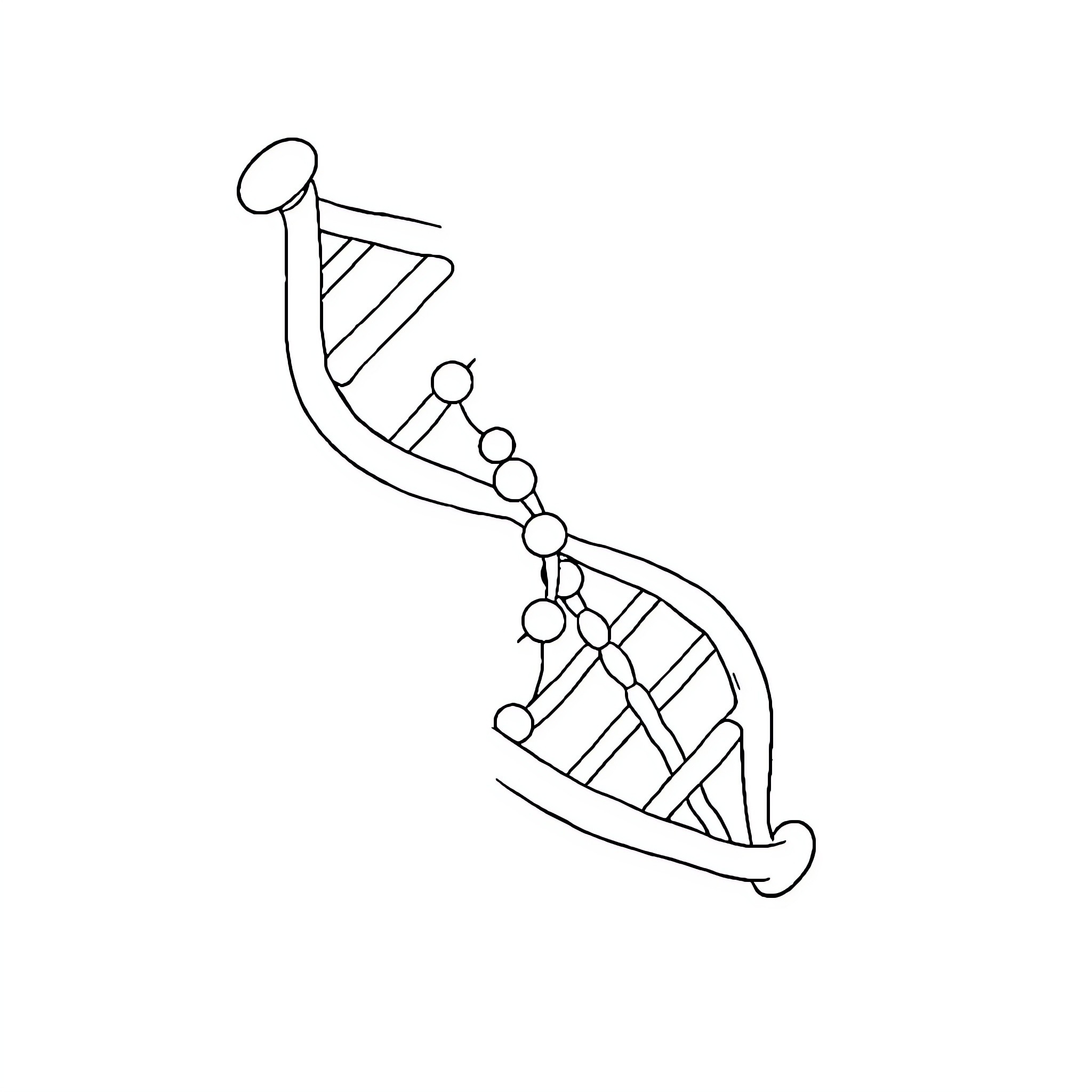 DNA strand in abstract design Coloring Page (free black-and-white line drawing printable PDF for all, from beginners to advanced learners, including children, teens, adults, and seniors)