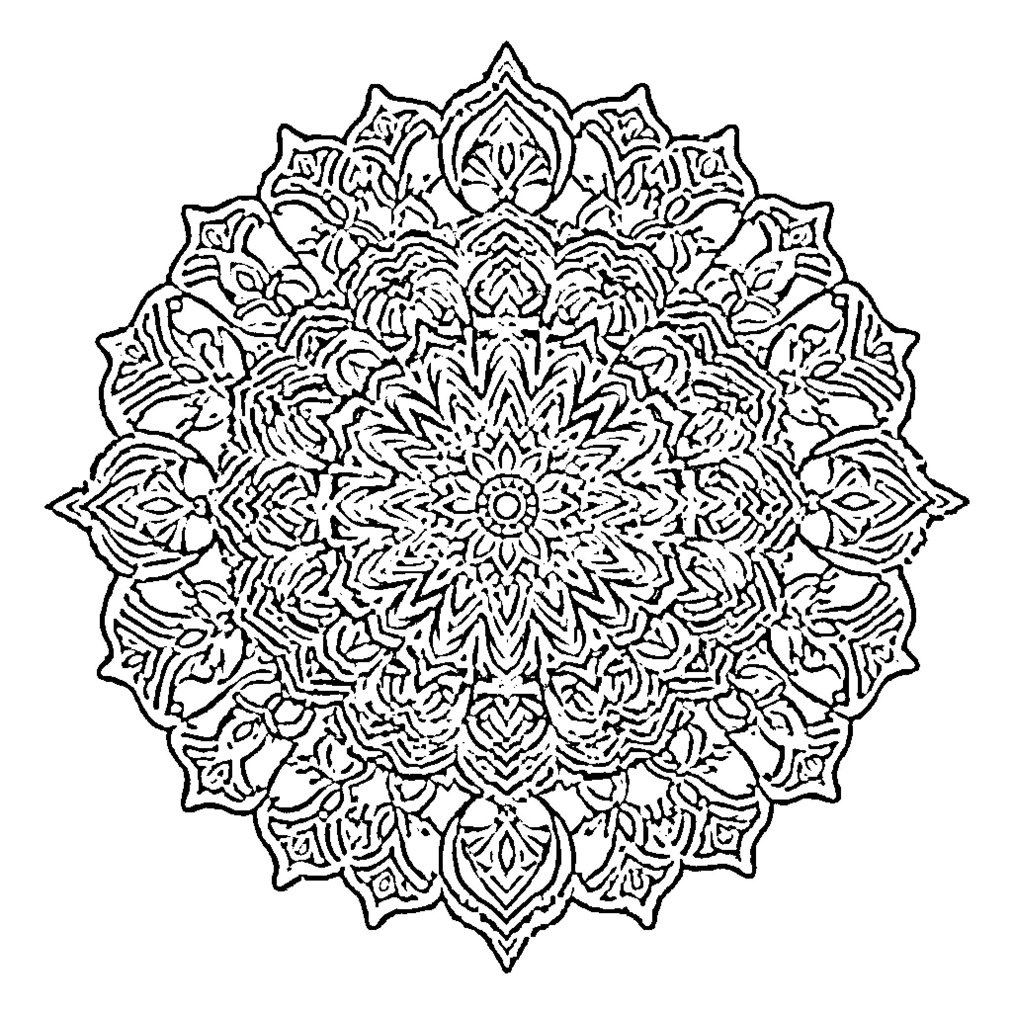 Mandala of ornate floral patterns Coloring Page (free black-and-white line drawing printable PDF for all, from beginners to advanced learners, including children, teens, adults, and seniors)