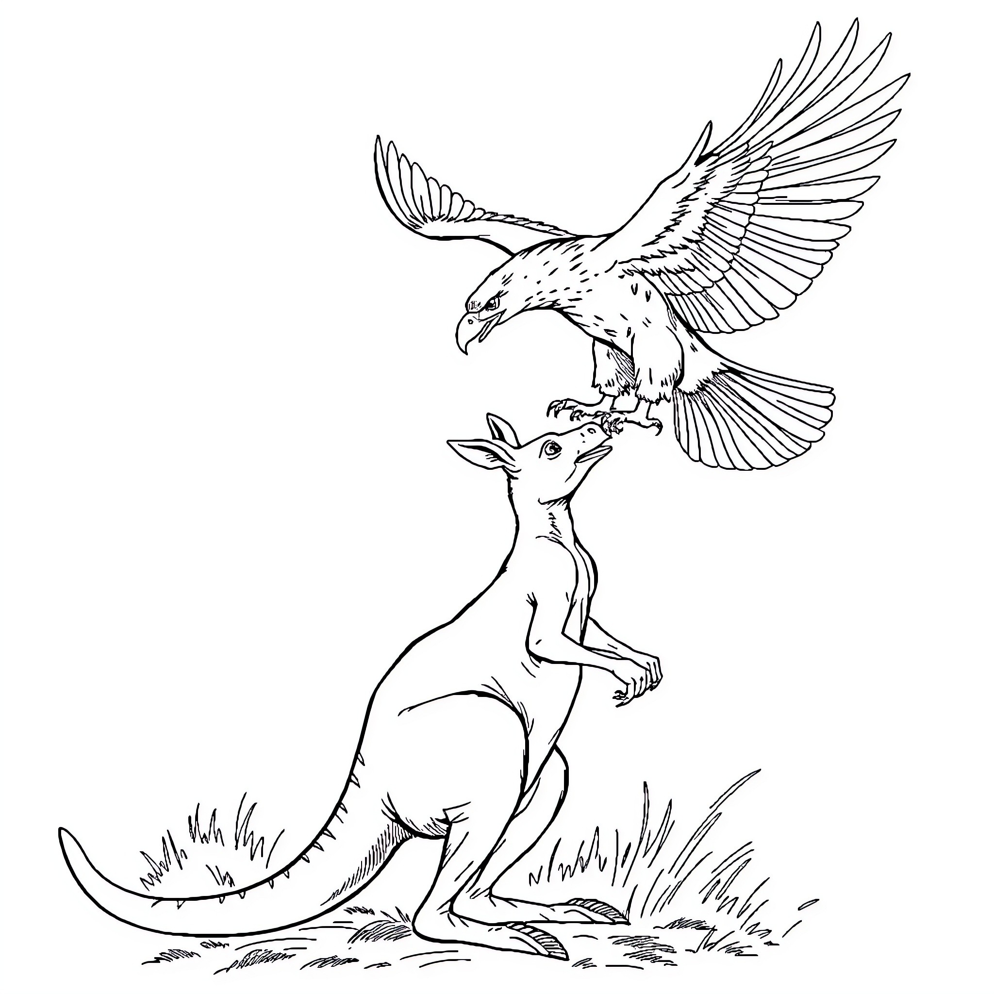 Kangaroo encountering majestic eagle Coloring Page (free black-and-white line drawing printable PDF for all, from beginners to advanced learners, including children, teens, adults, and seniors)