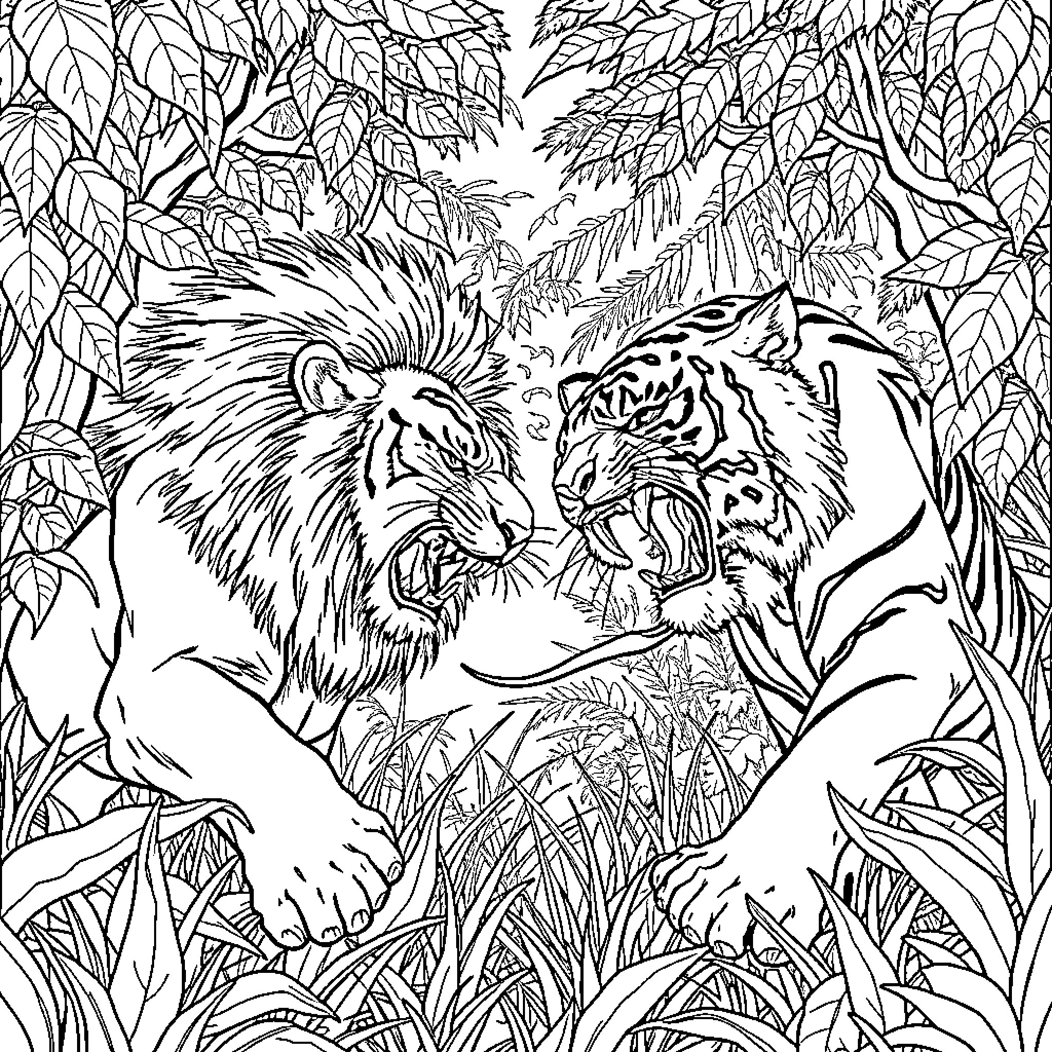 Lion and Tiger Roaring in the Jungle Coloring Page (free black-and-white line drawing printable PDF for all, from beginners to advanced learners, including children, teens, adults, and seniors)