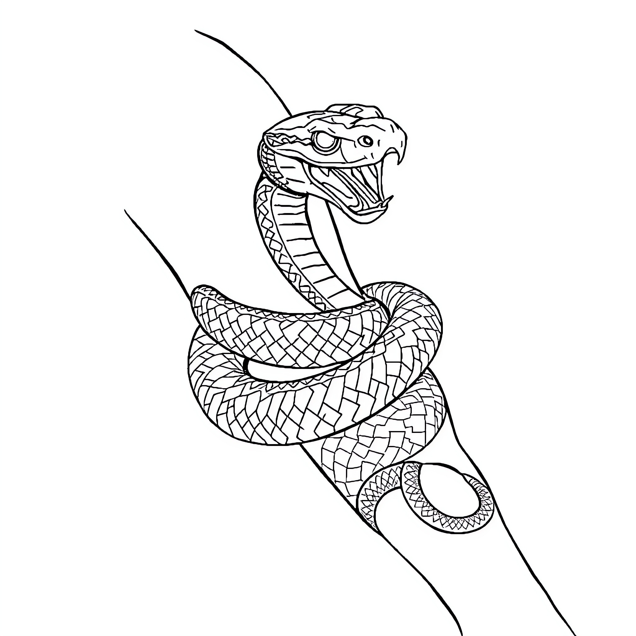 Snake coiling aggressively with open mouth Coloring Page (free black-and-white line drawing printable PDF for all, from beginners to advanced learners, including children, teens, adults, and seniors)