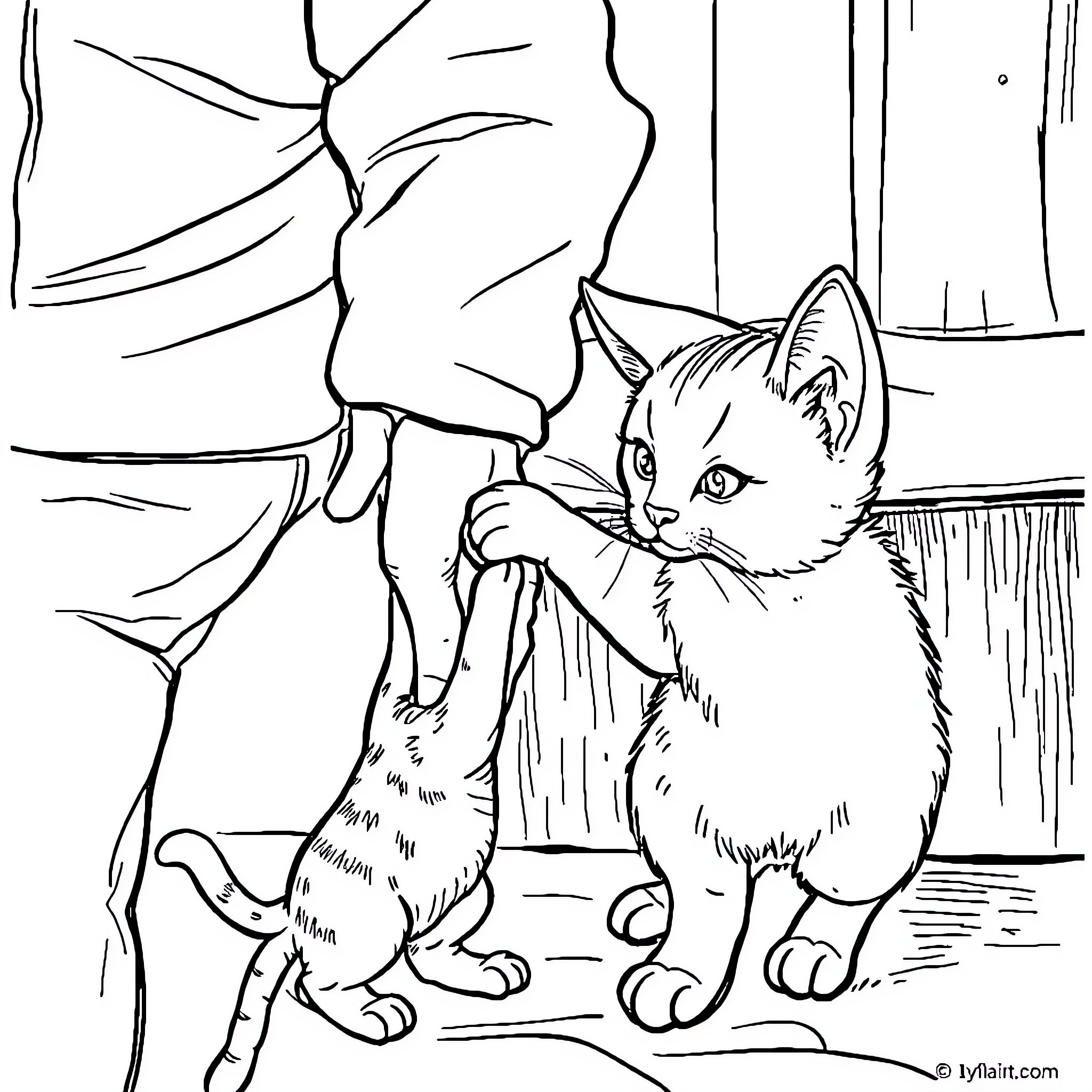 Cat exploring its surroundings Coloring Page (free black-and-white line drawing printable PDF for all, from beginners to advanced learners, including children, teens, adults, and seniors)