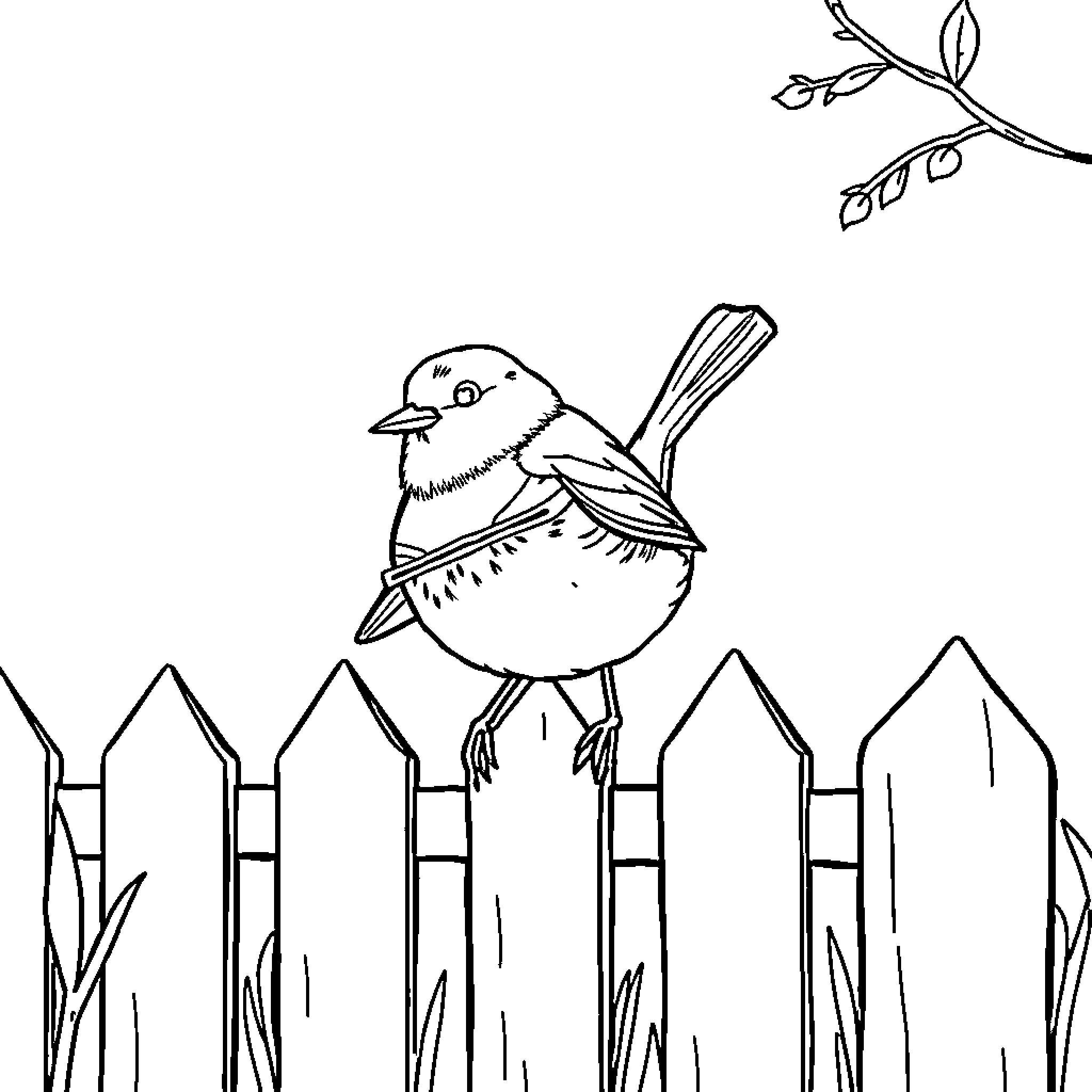 Robin perched on a fence near trees Coloring Page (free black-and-white line drawing printable PDF for all, from beginners to advanced learners, including children, teens, adults, and seniors)