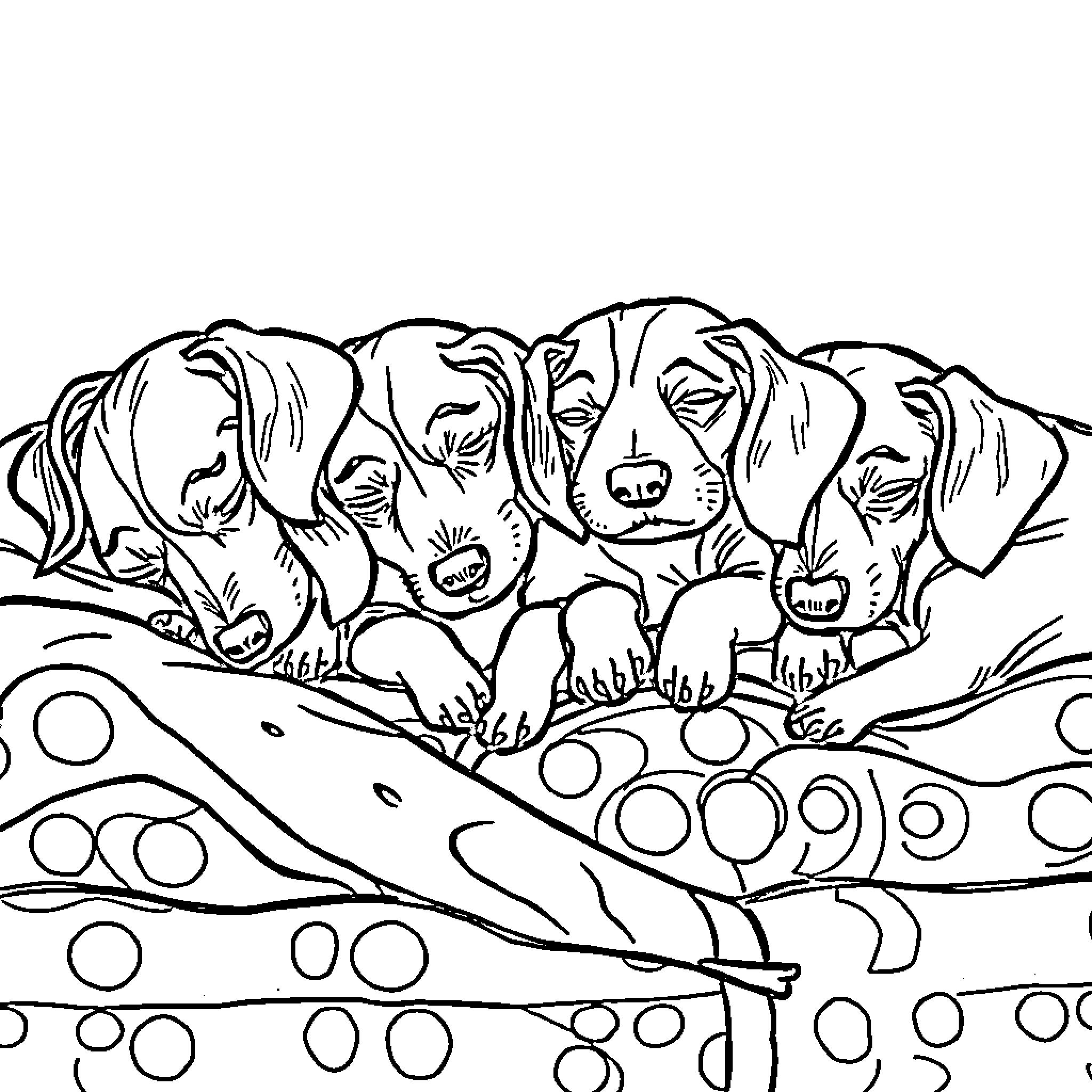 Wiener Dogs Playing Joyfully on Patterned Blanket Coloring Page (free black-and-white line drawing printable PDF for all, from beginners to advanced learners, including children, teens, adults, and seniors)