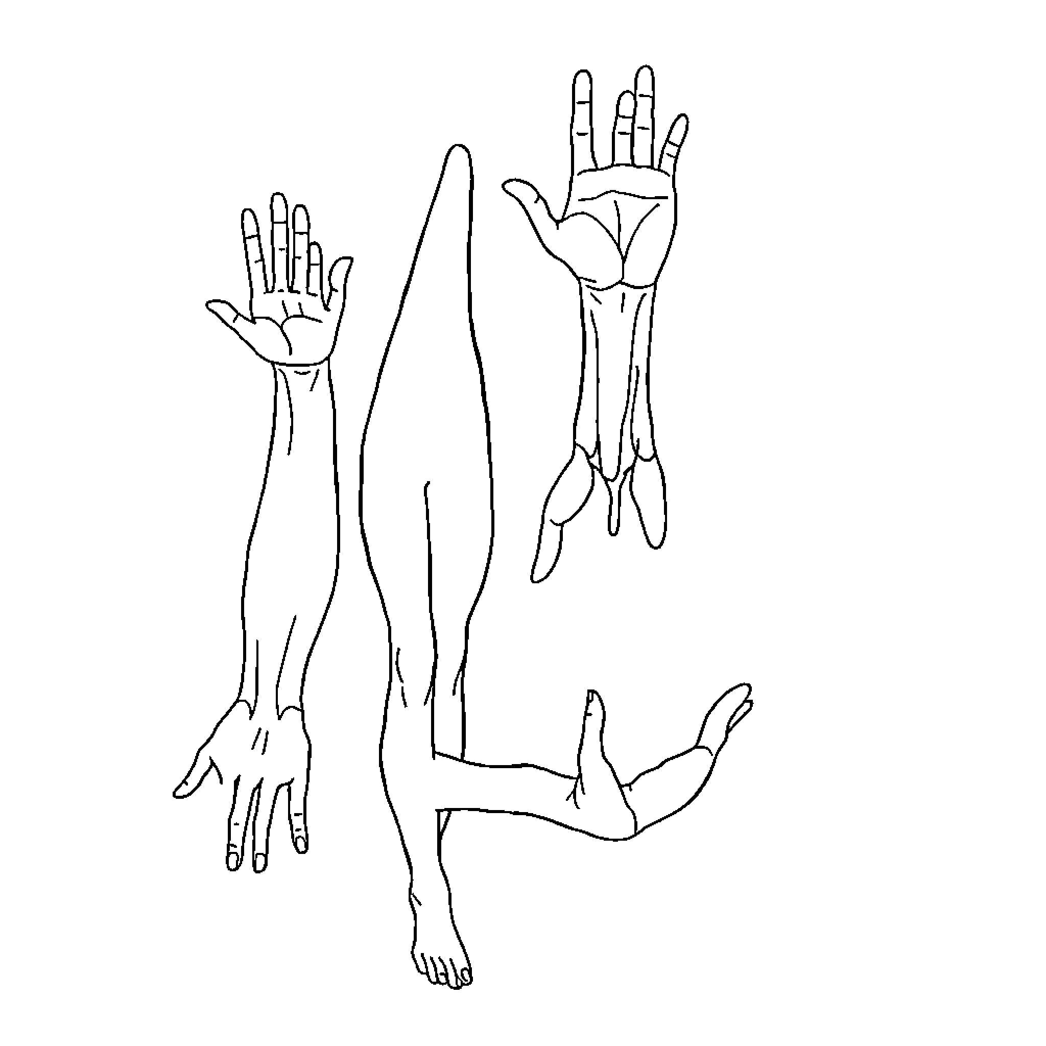 Body Part Poses and Gestures Coloring Page (free black-and-white line drawing printable PDF for all, from beginners to advanced learners, including children, teens, adults, and seniors)