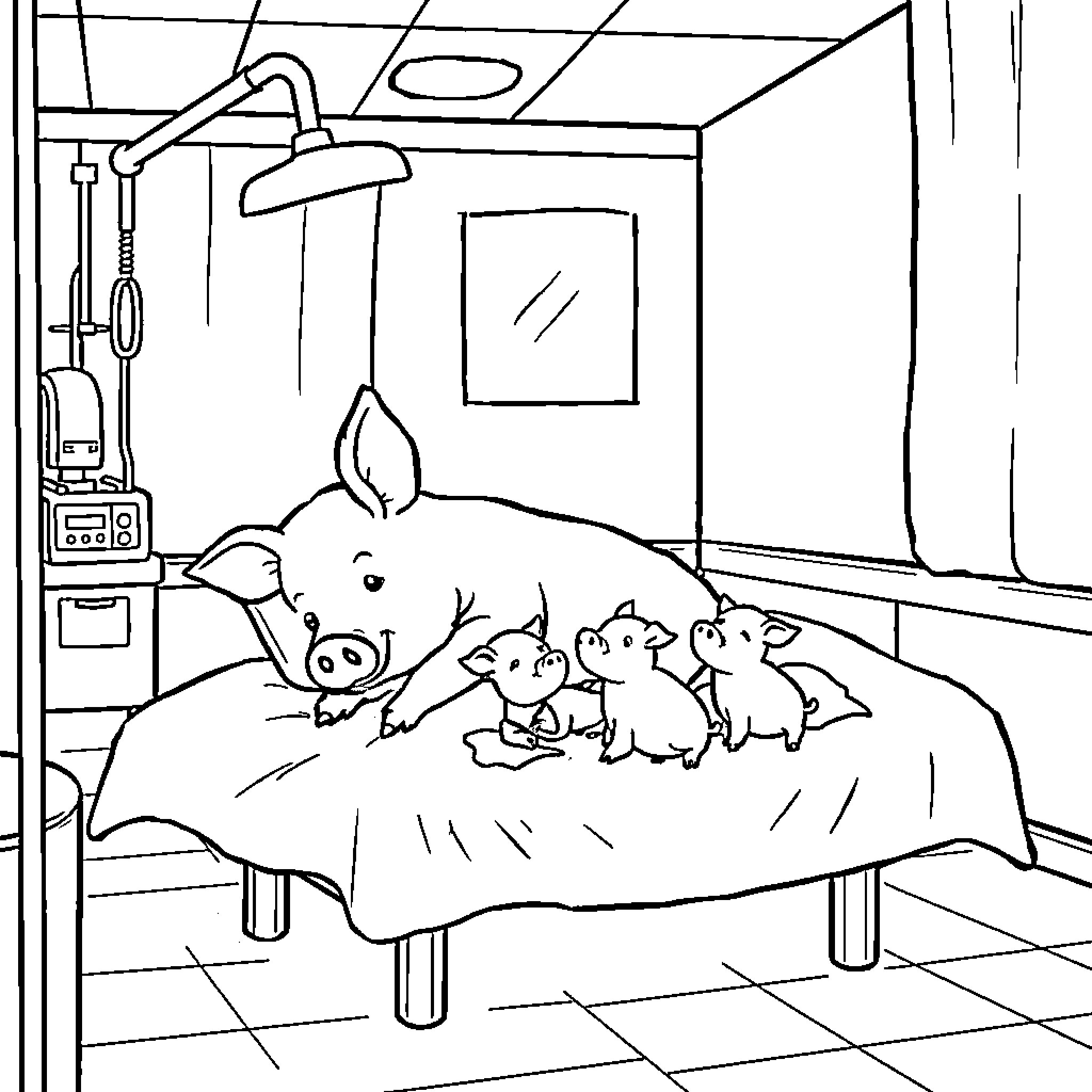 Pig and piglets resting in medical setting Coloring Page (free black-and-white line drawing printable PDF for all, from beginners to advanced learners, including children, teens, adults, and seniors)