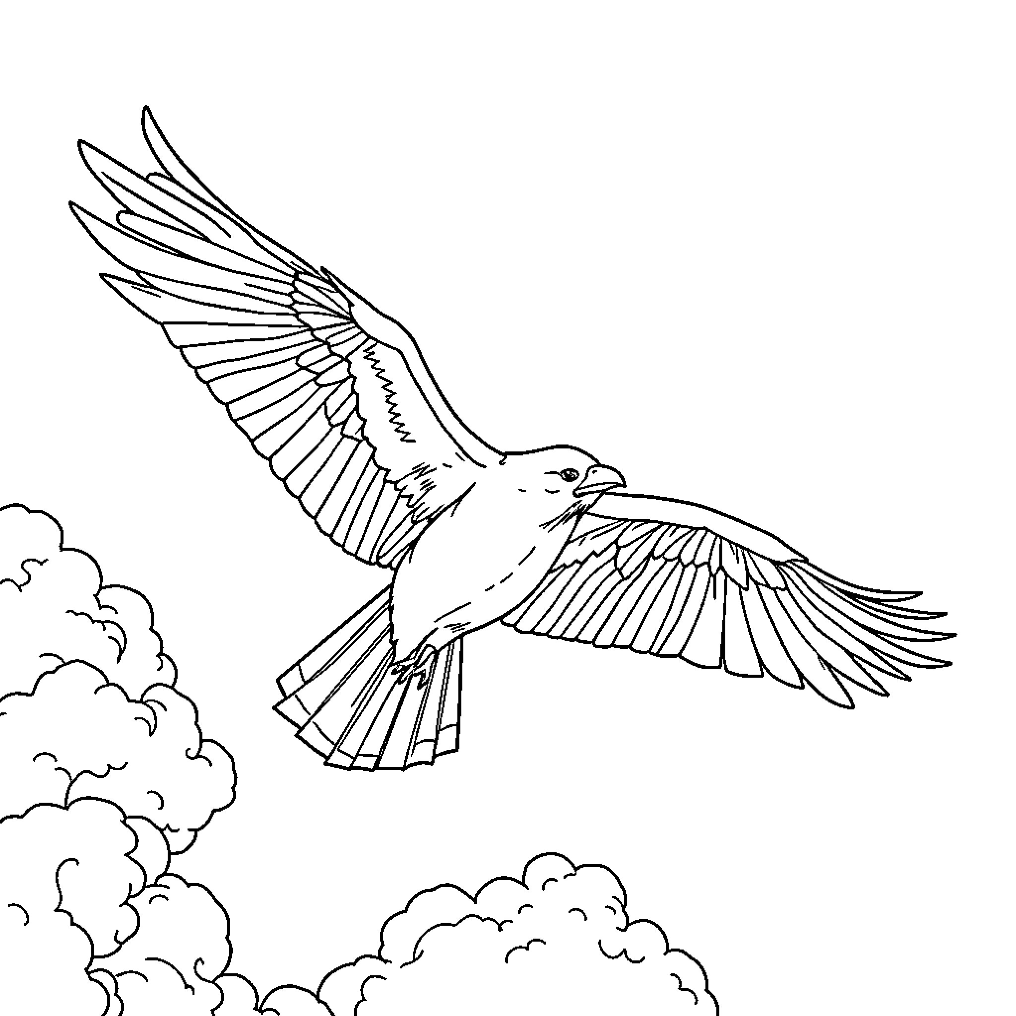 Raila's Soaring Avian Majesty Coloring Page (free black-and-white line drawing printable PDF for all, from beginners to advanced learners, including children, teens, adults, and seniors)