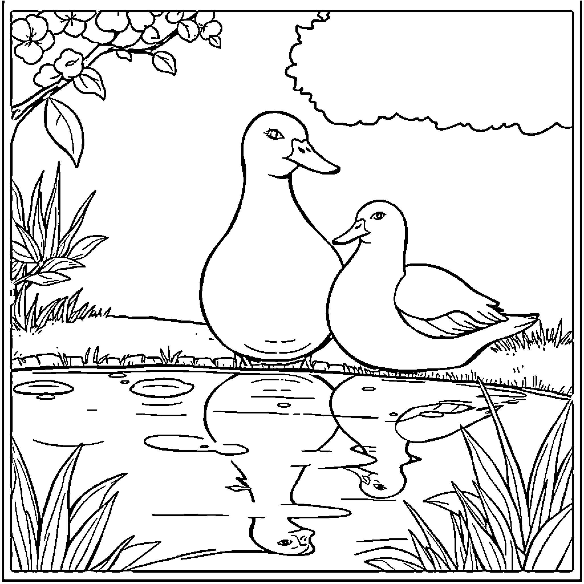 Ducks in the Pond Coloring Page (free black-and-white line drawing printable PDF for all, from beginners to advanced learners, including children, teens, adults, and seniors)
