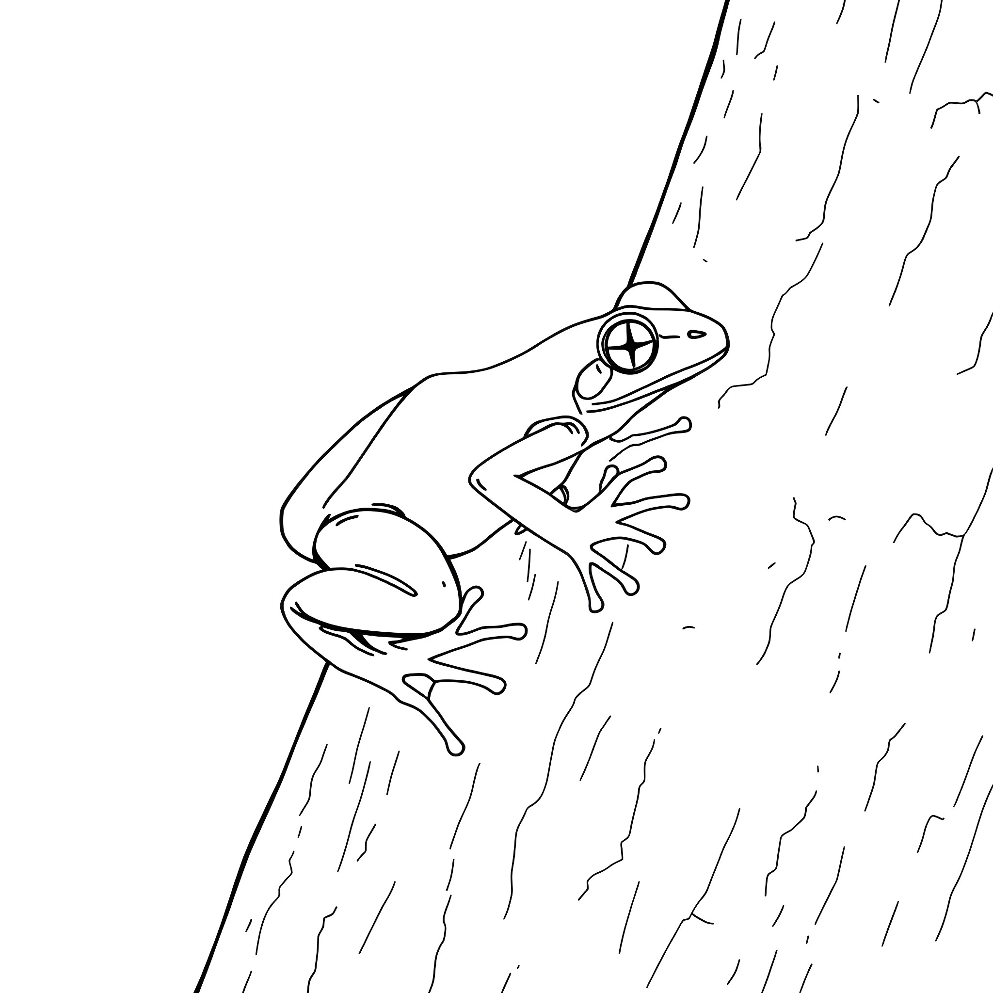 Frog clinging to the bark of a tree Coloring Page (free black-and-white line drawing printable PDF for all, from beginners to advanced learners, including children, teens, adults, and seniors)