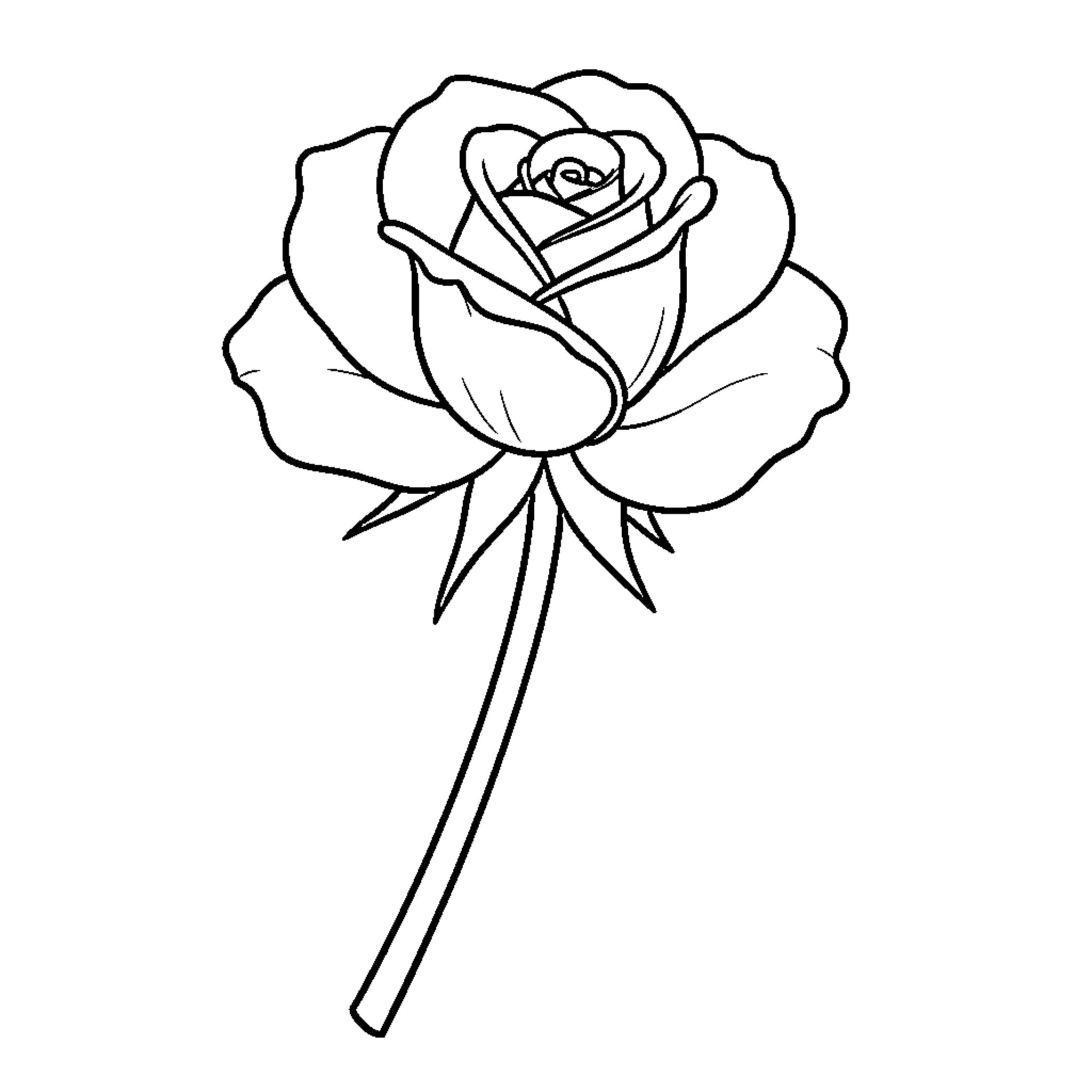 Rose blooming elegantly with delicate petals and a stem Coloring Page (free black-and-white line drawing printable PDF for all, from beginners to advanced learners, including children, teens, adults, and seniors)