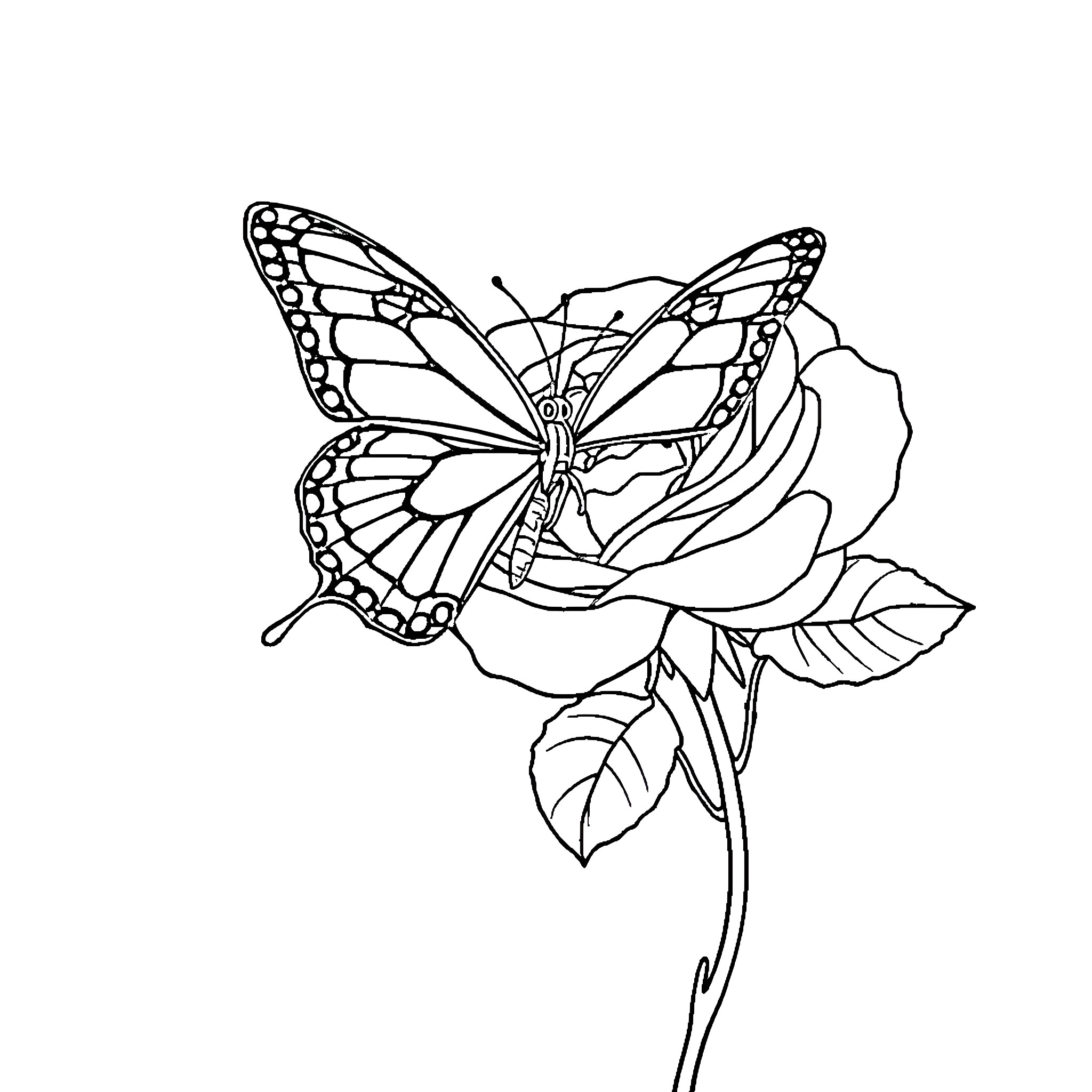 Butterfly on a Detailed Floral Design Coloring Page (free black-and-white line drawing printable PDF for all, from beginners to advanced learners, including children, teens, adults, and seniors)
