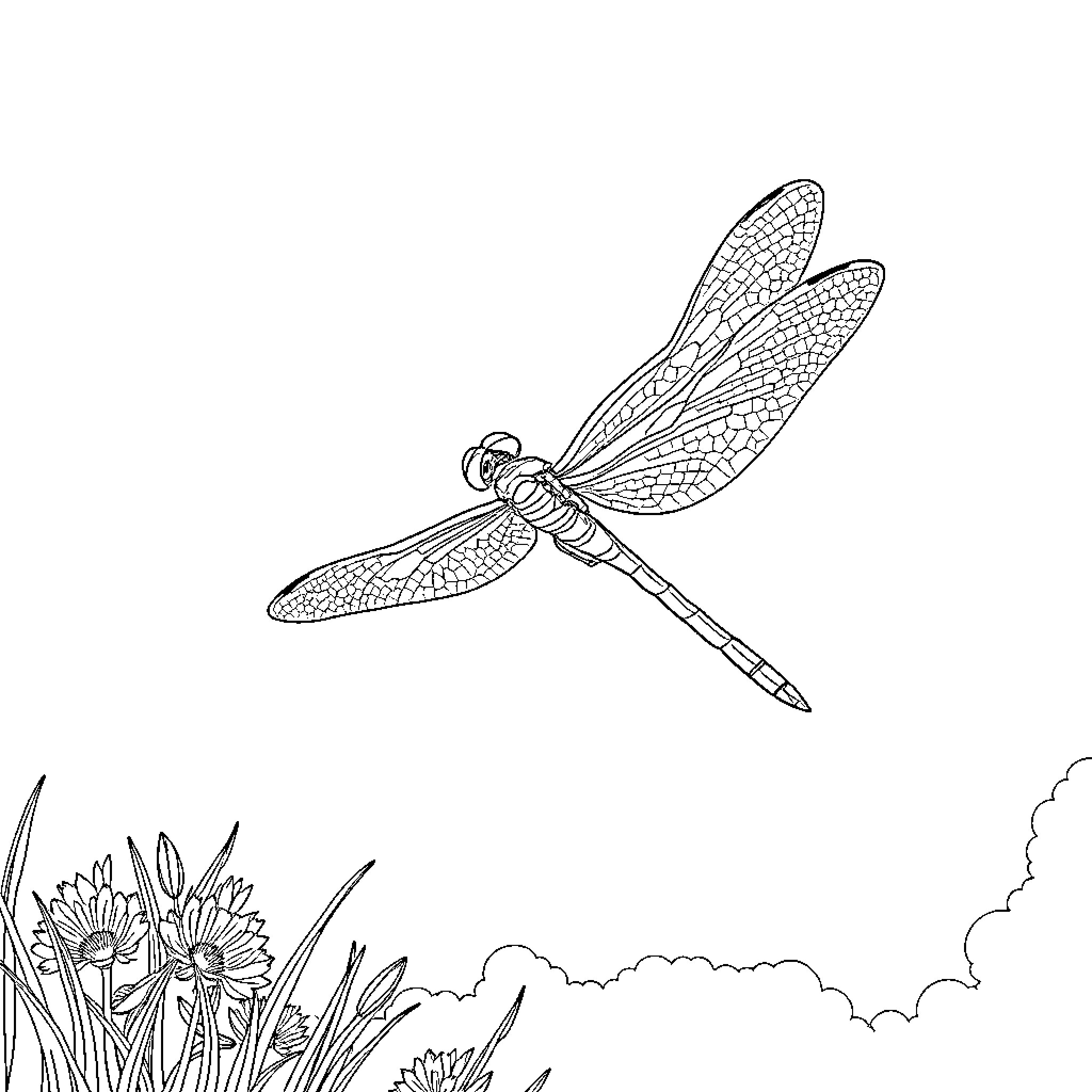 Dragonfly soaring gracefully over blooming flowers Coloring Page (free black-and-white line drawing printable PDF for all, from beginners to advanced learners, including children, teens, adults, and seniors)