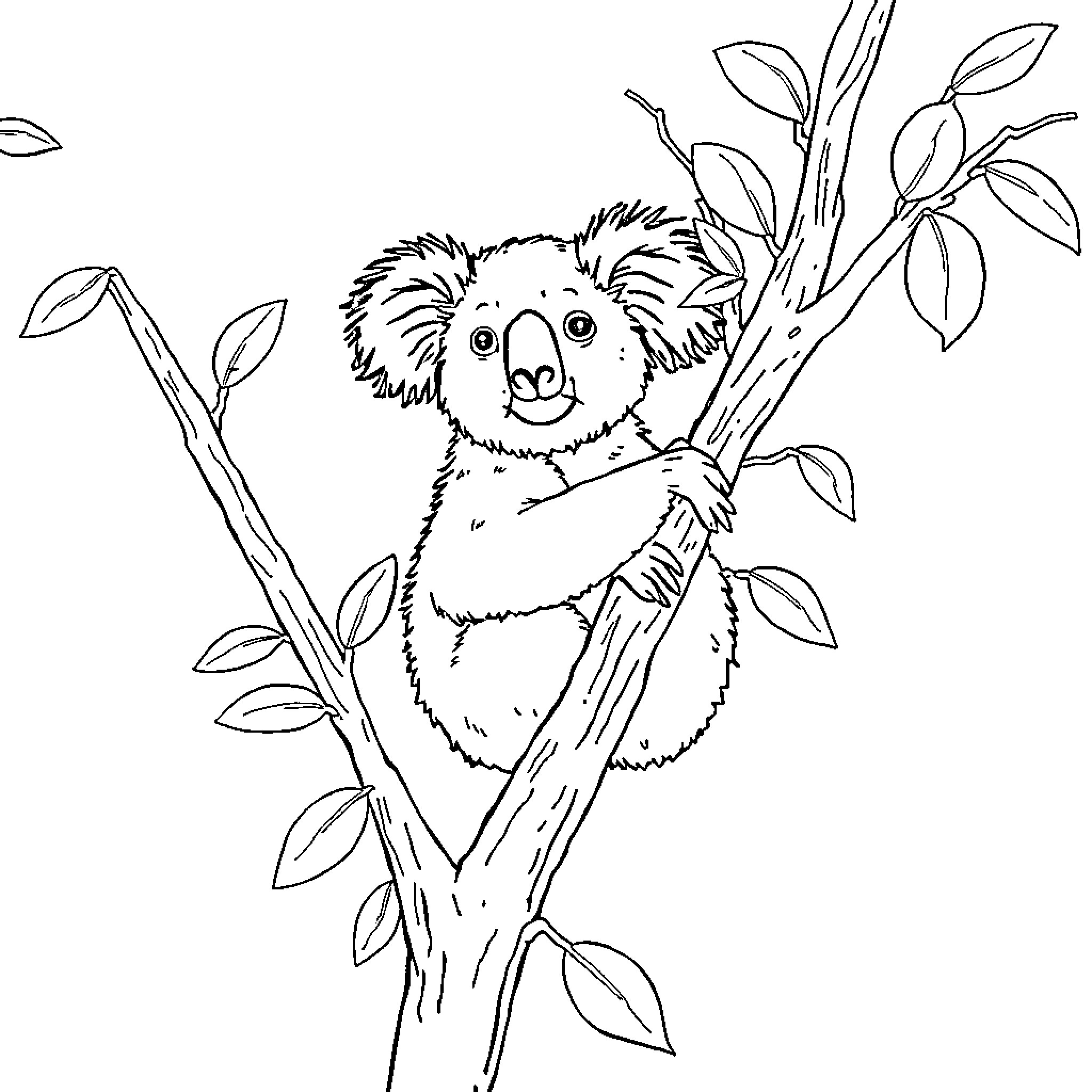 Koala resting peacefully on tree branch Coloring Page (free black-and-white line drawing printable PDF for all, from beginners to advanced learners, including children, teens, adults, and seniors)
