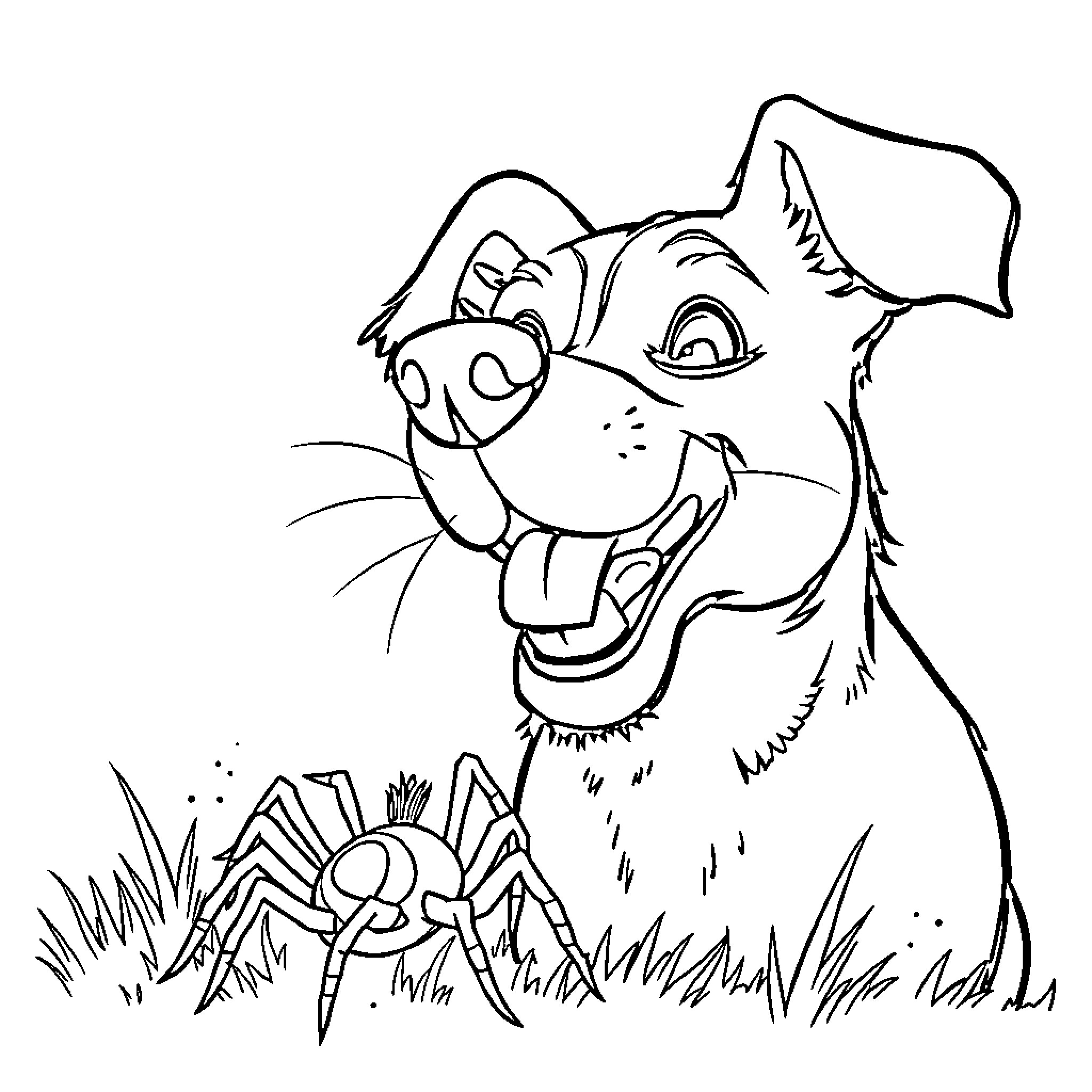 Dog playing with spider in grass Coloring Page (free black-and-white line drawing printable PDF for all, from beginners to advanced learners, including children, teens, adults, and seniors)