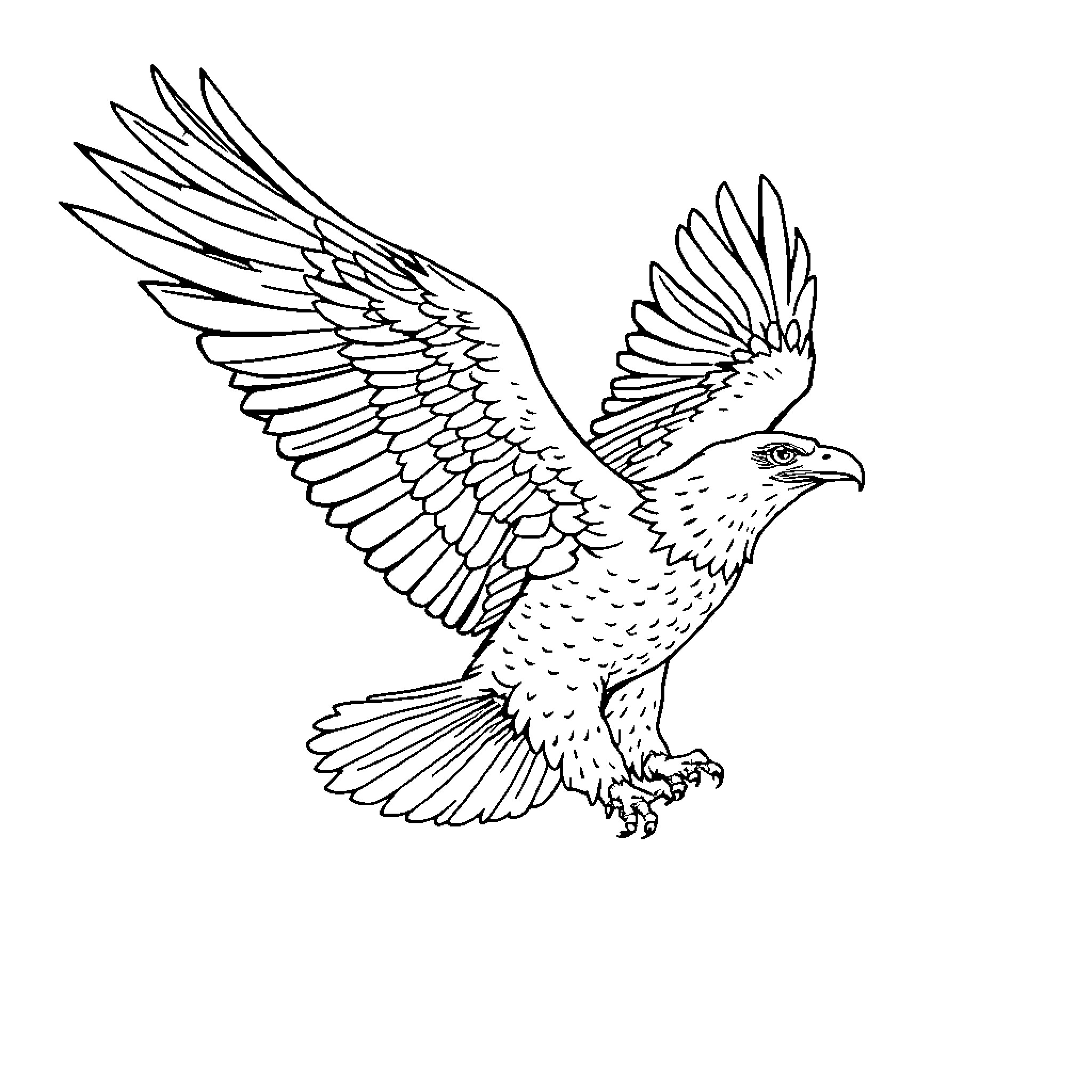 Eagle spreading its wings in flight Coloring Page (free black-and-white line drawing printable PDF for all, from beginners to advanced learners, including children, teens, adults, and seniors)