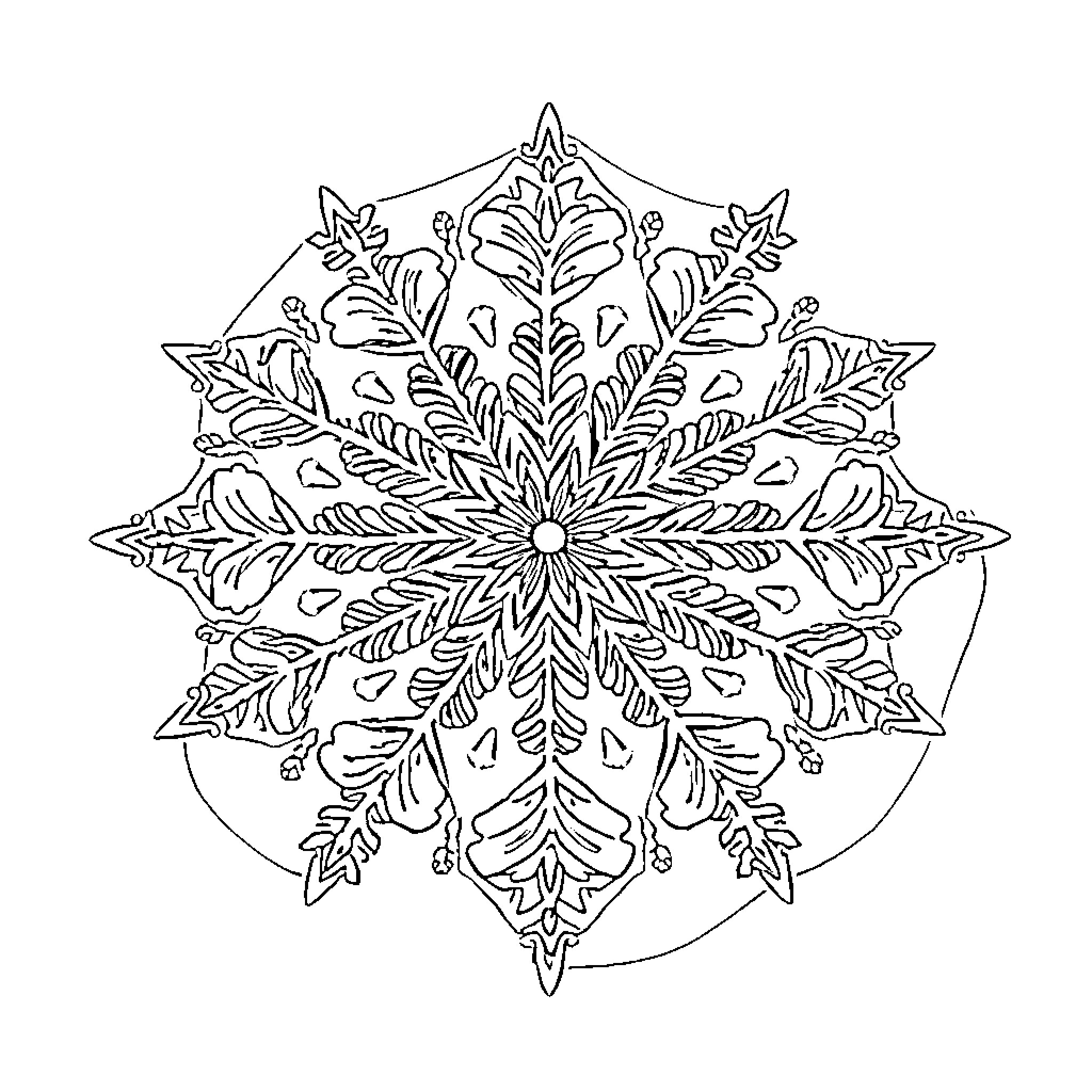 Mandala of intricate snowflake-like design Coloring Page (free black-and-white line drawing printable PDF for all, from beginners to advanced learners, including children, teens, adults, and seniors)