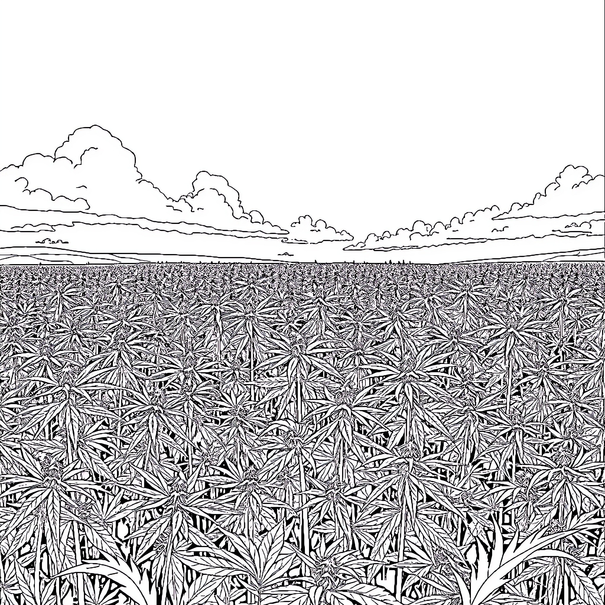 Cannabis field with detailed leaves and cloudy sky Coloring Page (free black-and-white line drawing printable PDF for all, from beginners to advanced learners, including children, teens, adults, and seniors)