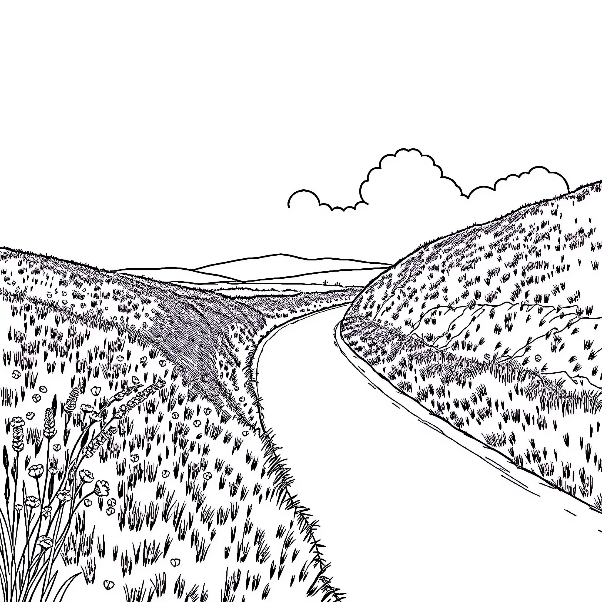 Verge of a Winding Country Road Coloring Page (free black-and-white line drawing printable PDF for all, from beginners to advanced learners, including children, teens, adults, and seniors)