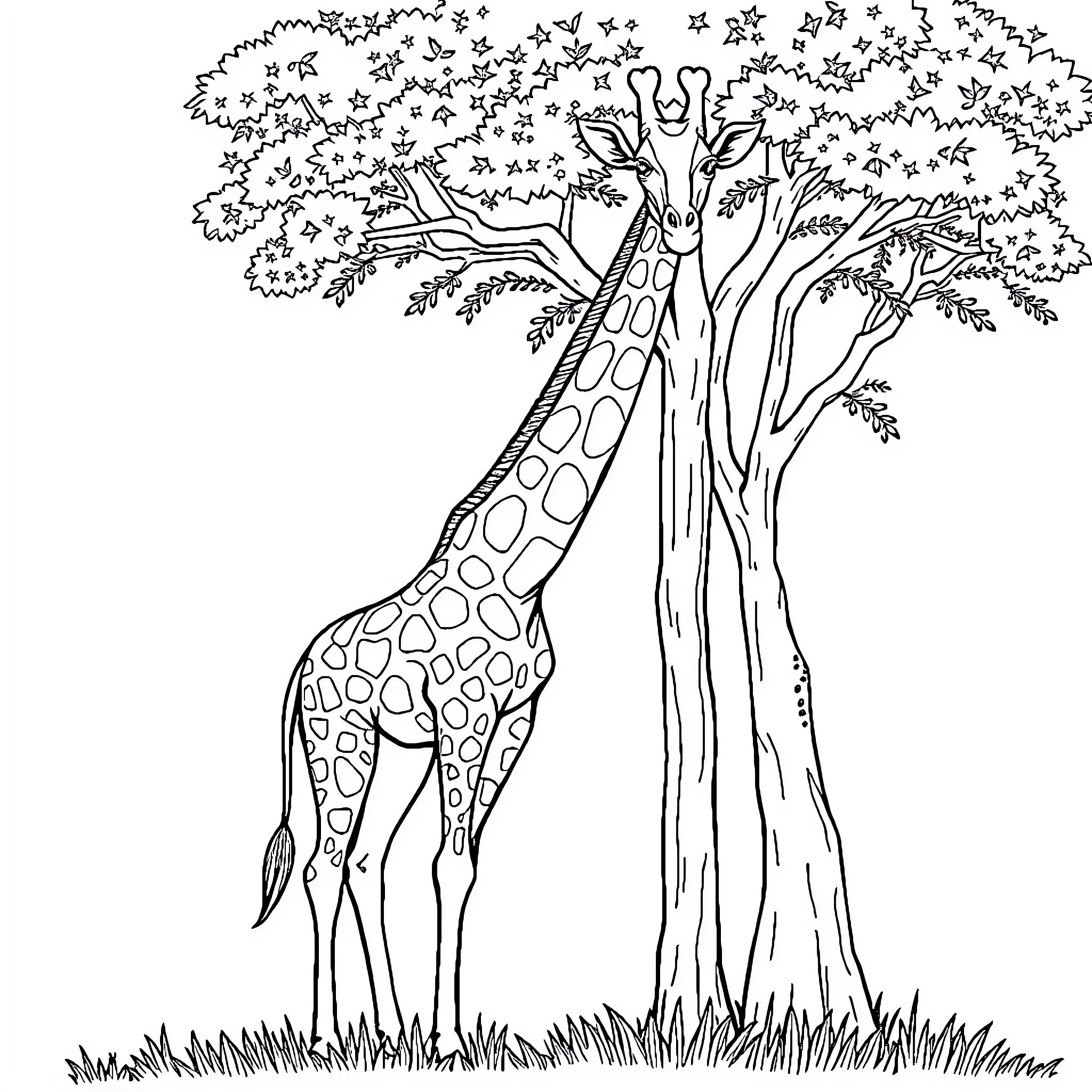 Giraffe standing under a tree with stars Coloring Page (free black-and-white line drawing printable PDF for all, from beginners to advanced learners, including children, teens, adults, and seniors)