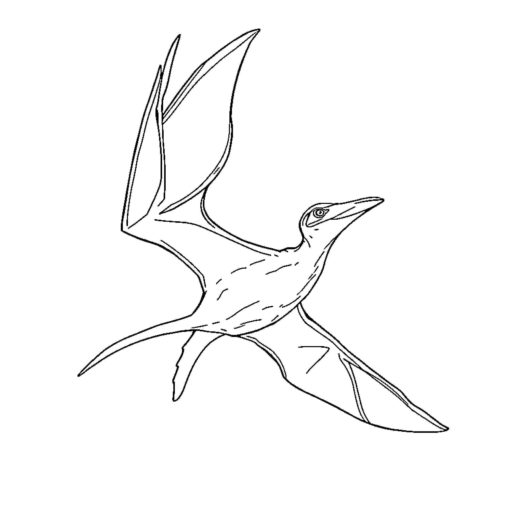 Pterodactyl soaring through the sky Coloring Page (free black-and-white line drawing printable PDF for all, from beginners to advanced learners, including children, teens, adults, and seniors)