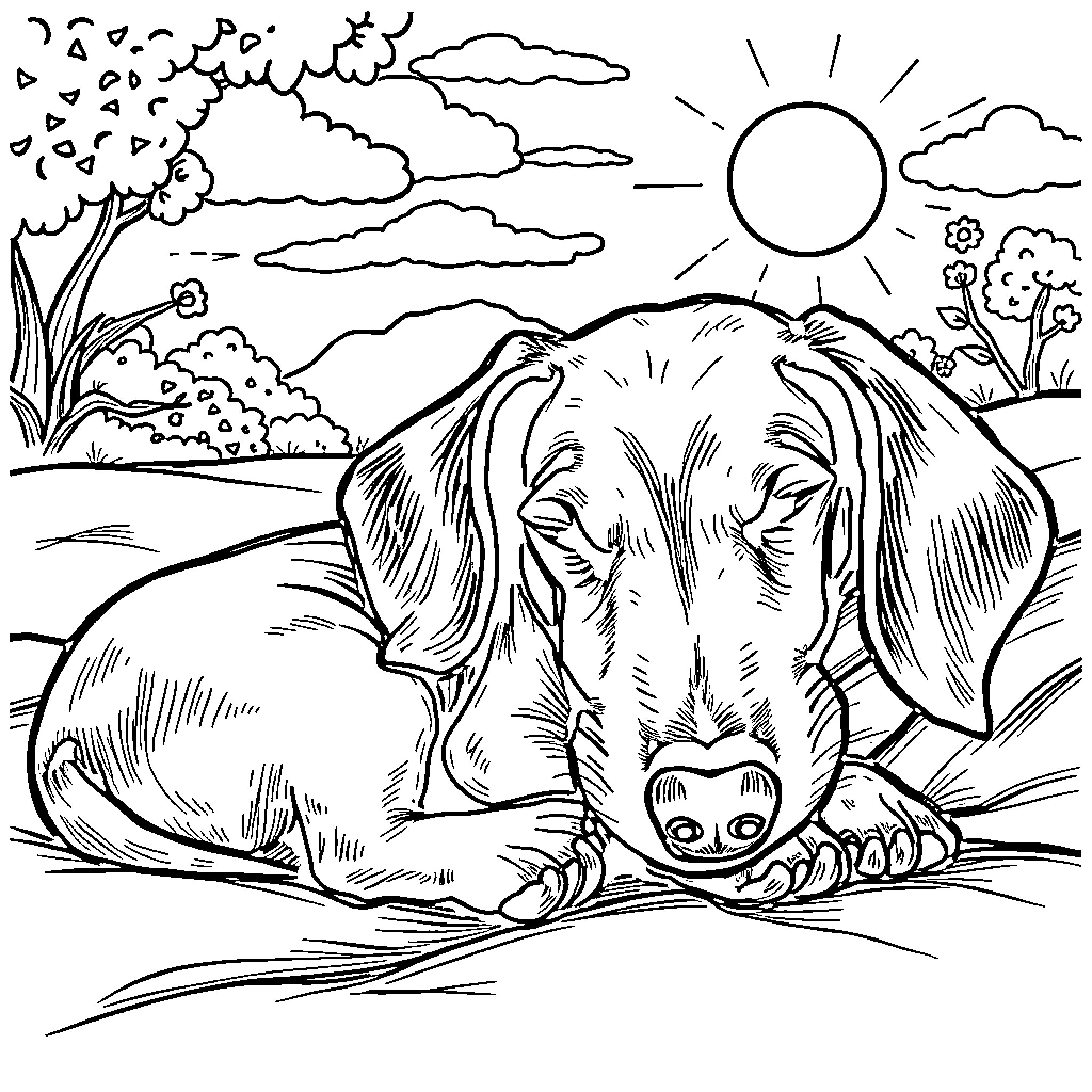 Dachshund exploring the outdoors Coloring Page (free black-and-white line drawing printable PDF for all, from beginners to advanced learners, including children, teens, adults, and seniors)