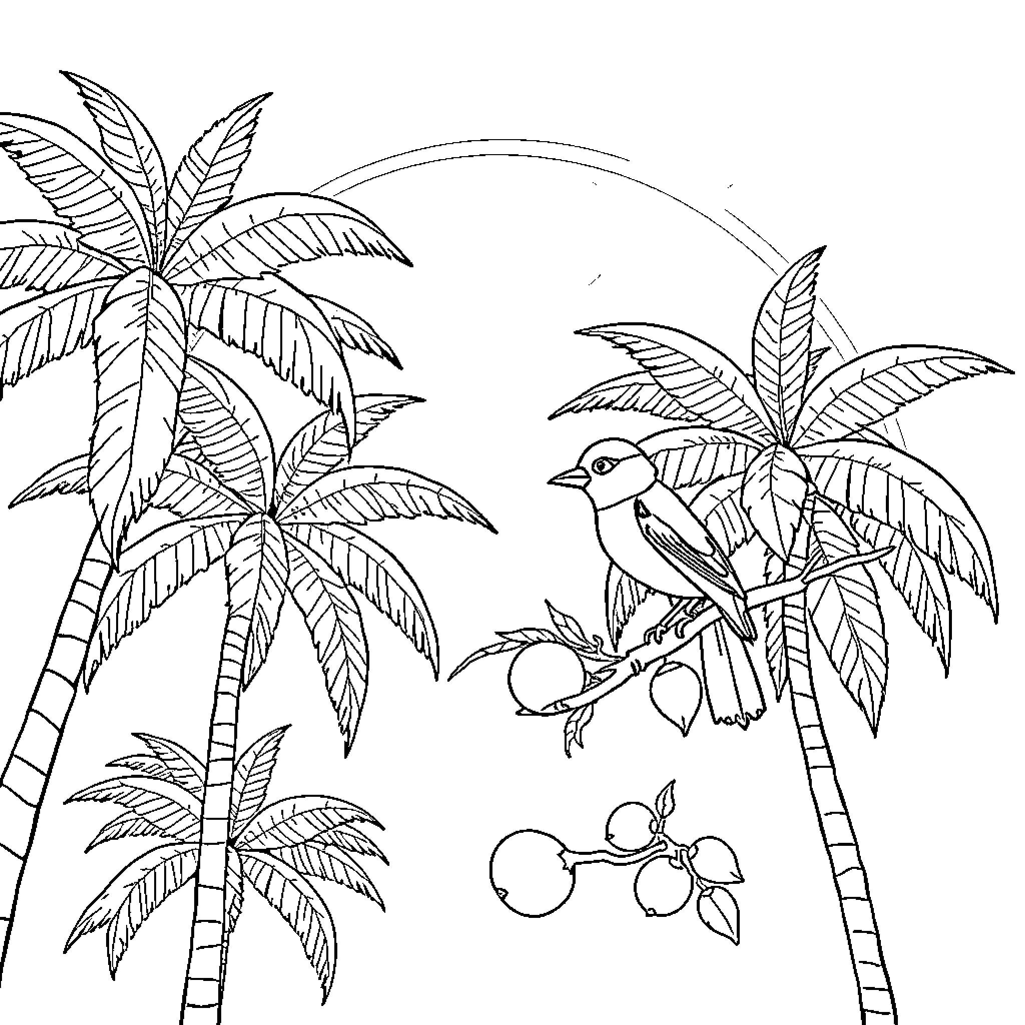 Palm Tree Scene with Birds and Coconuts Coloring Page (free black-and-white line drawing printable PDF for all, from beginners to advanced learners, including children, teens, adults, and seniors)