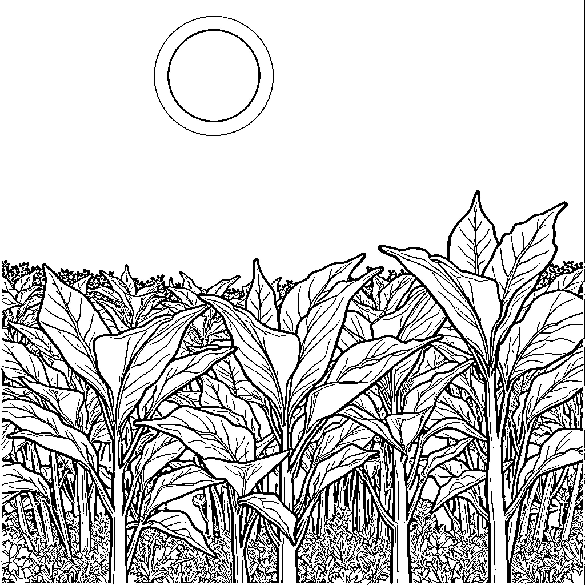 Tobacco plants growing in scenic landscape Coloring Page (free black-and-white line drawing printable PDF for all, from beginners to advanced learners, including children, teens, adults, and seniors)