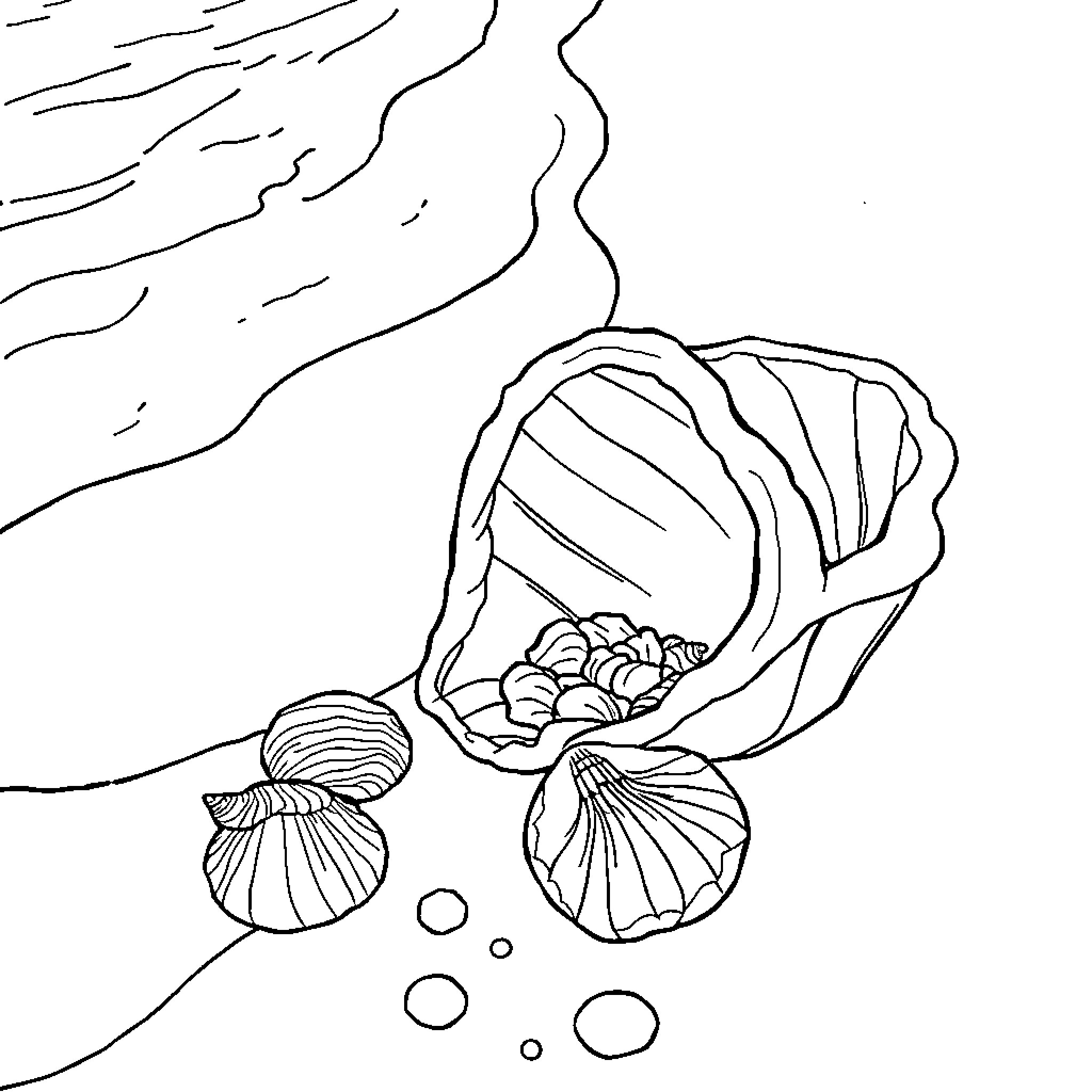 Seashells in the Waves Coloring Page (free black-and-white line drawing printable PDF for all, from beginners to advanced learners, including children, teens, adults, and seniors)