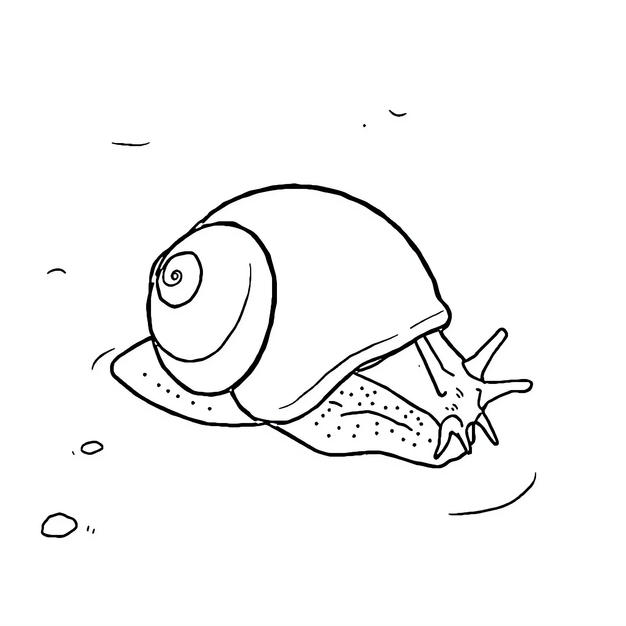 Bigorneau swimming with a starfish Coloring Page (free black-and-white line drawing printable PDF for all, from beginners to advanced learners, including children, teens, adults, and seniors)
