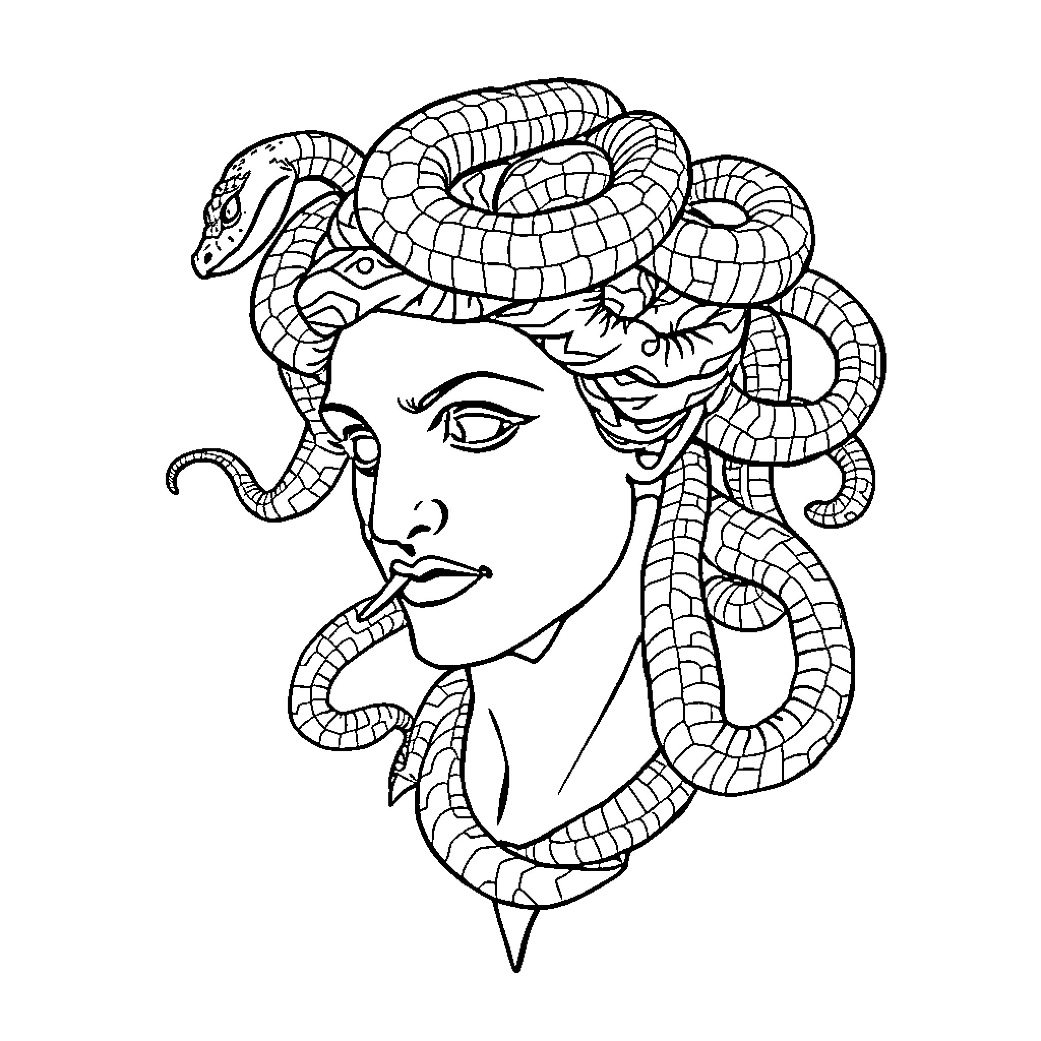 Medusa surrounded by intricate snake patterns Coloring Page (free black-and-white line drawing printable PDF for all, from beginners to advanced learners, including children, teens, adults, and seniors)
