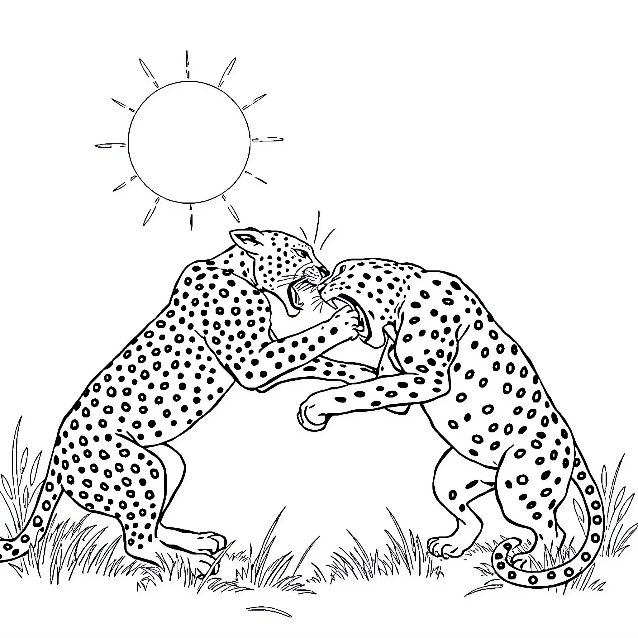Cheetah resting under the sun Coloring Page (free black-and-white line drawing printable PDF for all, from beginners to advanced learners, including children, teens, adults, and seniors)