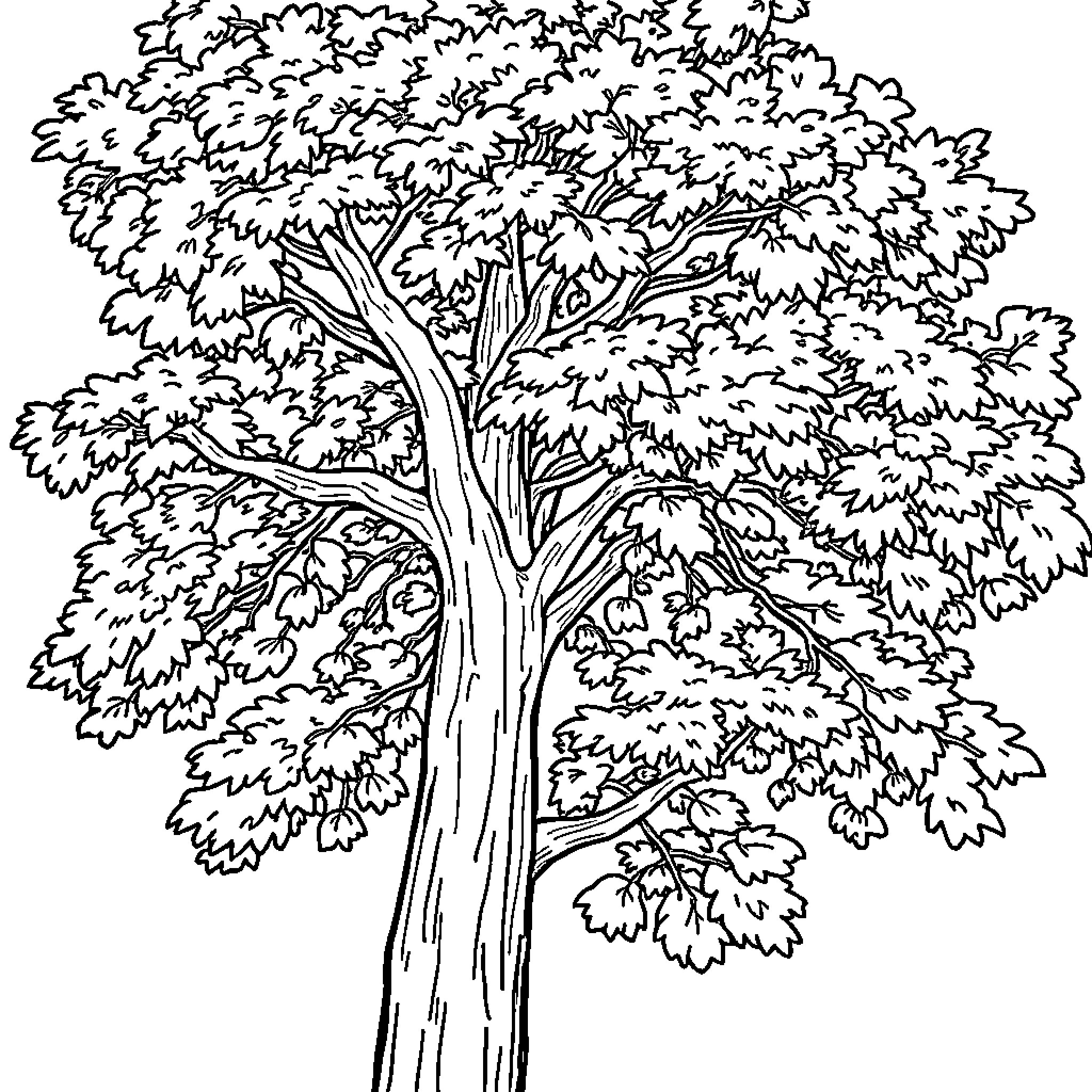 Tree with dense foliage in black and white Coloring Page (free black-and-white line drawing printable PDF for all, from beginners to advanced learners, including children, teens, adults, and seniors)