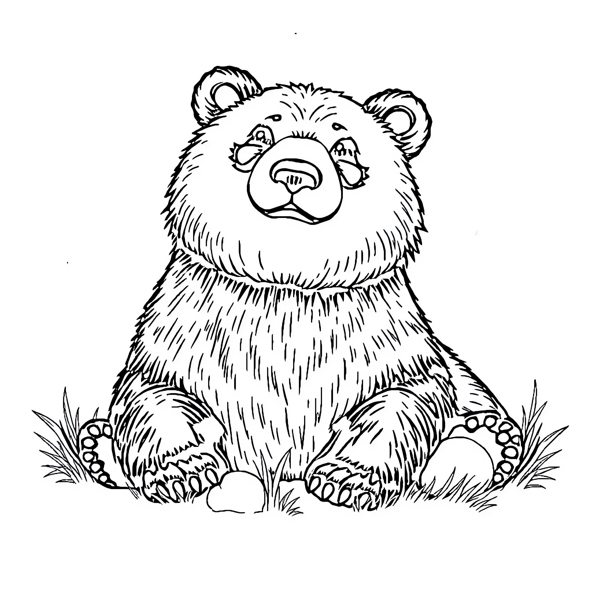 Bear sitting calmly in the grass Coloring Page (free black-and-white line drawing printable PDF for all, from beginners to advanced learners, including children, teens, adults, and seniors)