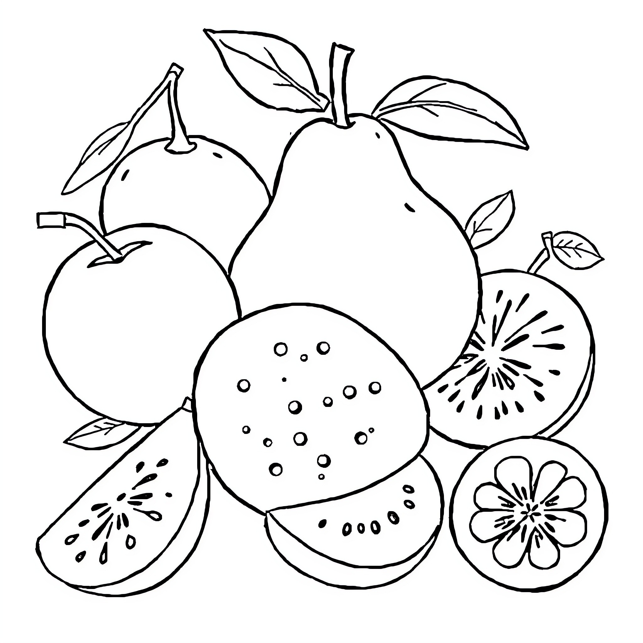 Fruit with Detailed Illustrations Coloring Page (free black-and-white line drawing printable PDF for all, from beginners to advanced learners, including children, teens, adults, and seniors)