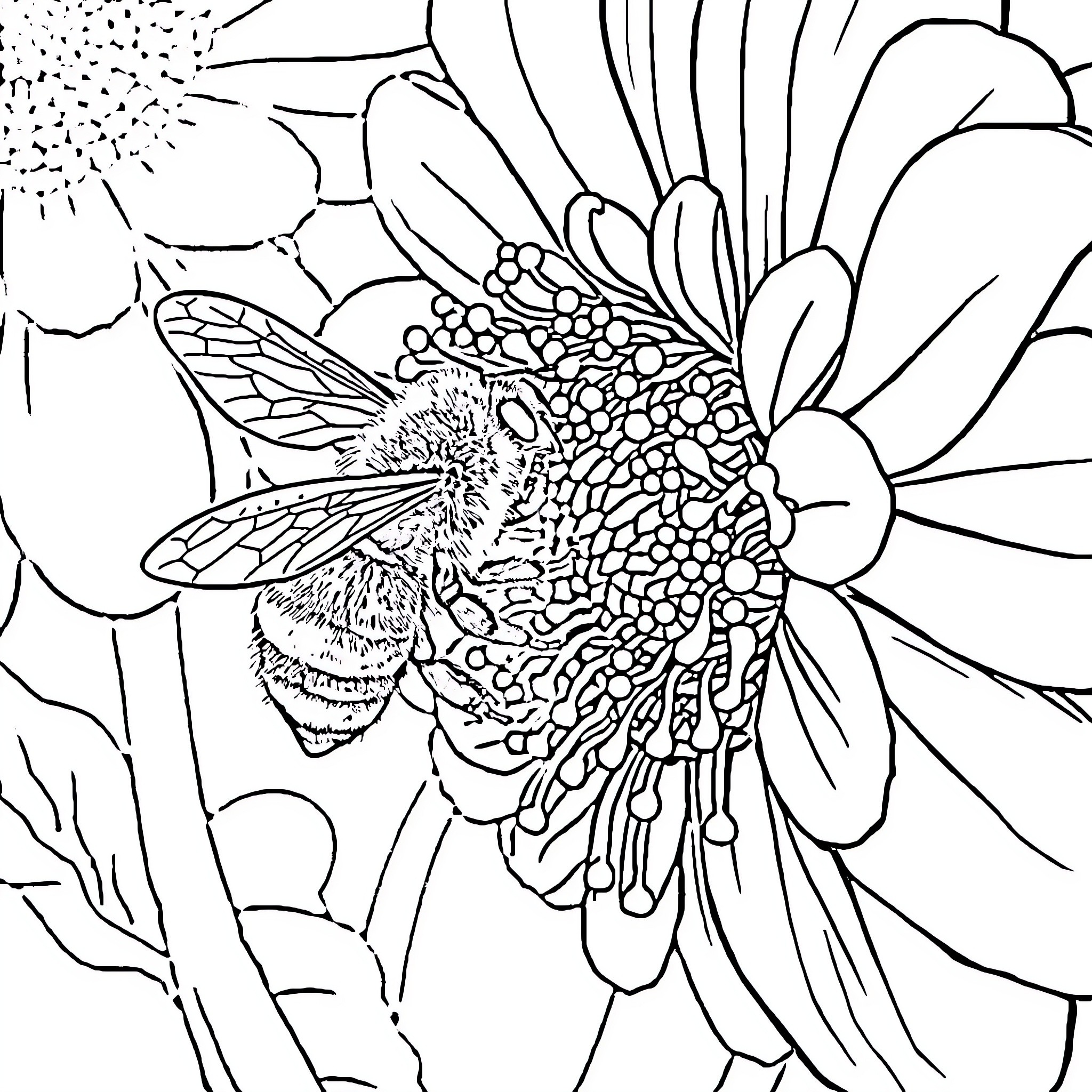 Bee Pollinating Vibrant Floral Scene Coloring Page (free black-and-white line drawing printable PDF for all, from beginners to advanced learners, including children, teens, adults, and seniors)