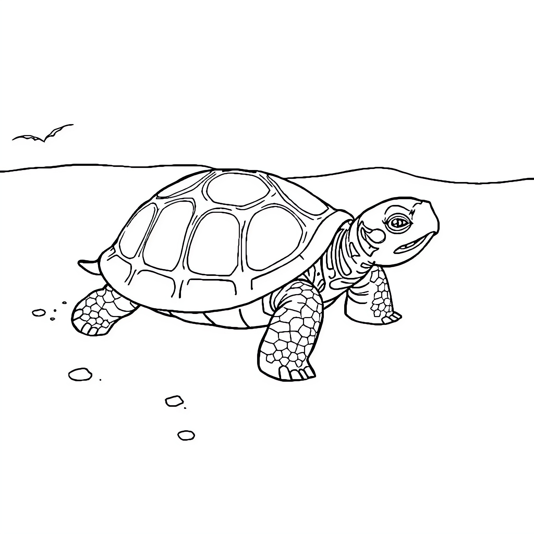 Turtle walking on rocky terrain Coloring Page (free black-and-white line drawing printable PDF for all, from beginners to advanced learners, including children, teens, adults, and seniors)