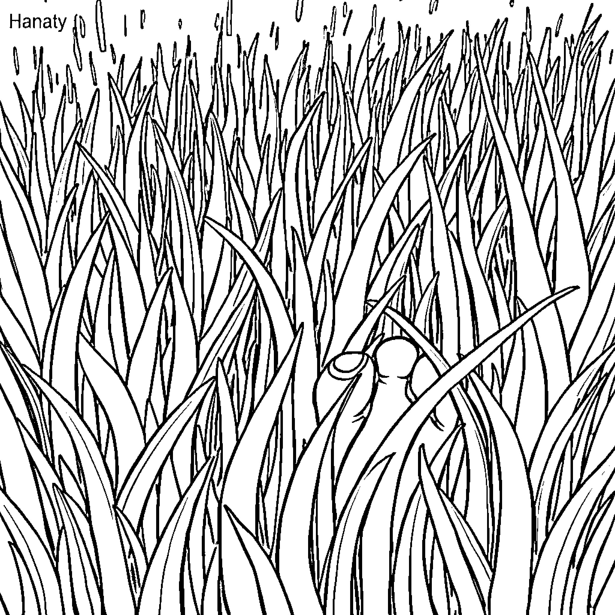 Grass field with abstract shapes Coloring Page (free black-and-white line drawing printable PDF for all, from beginners to advanced learners, including children, teens, adults, and seniors)