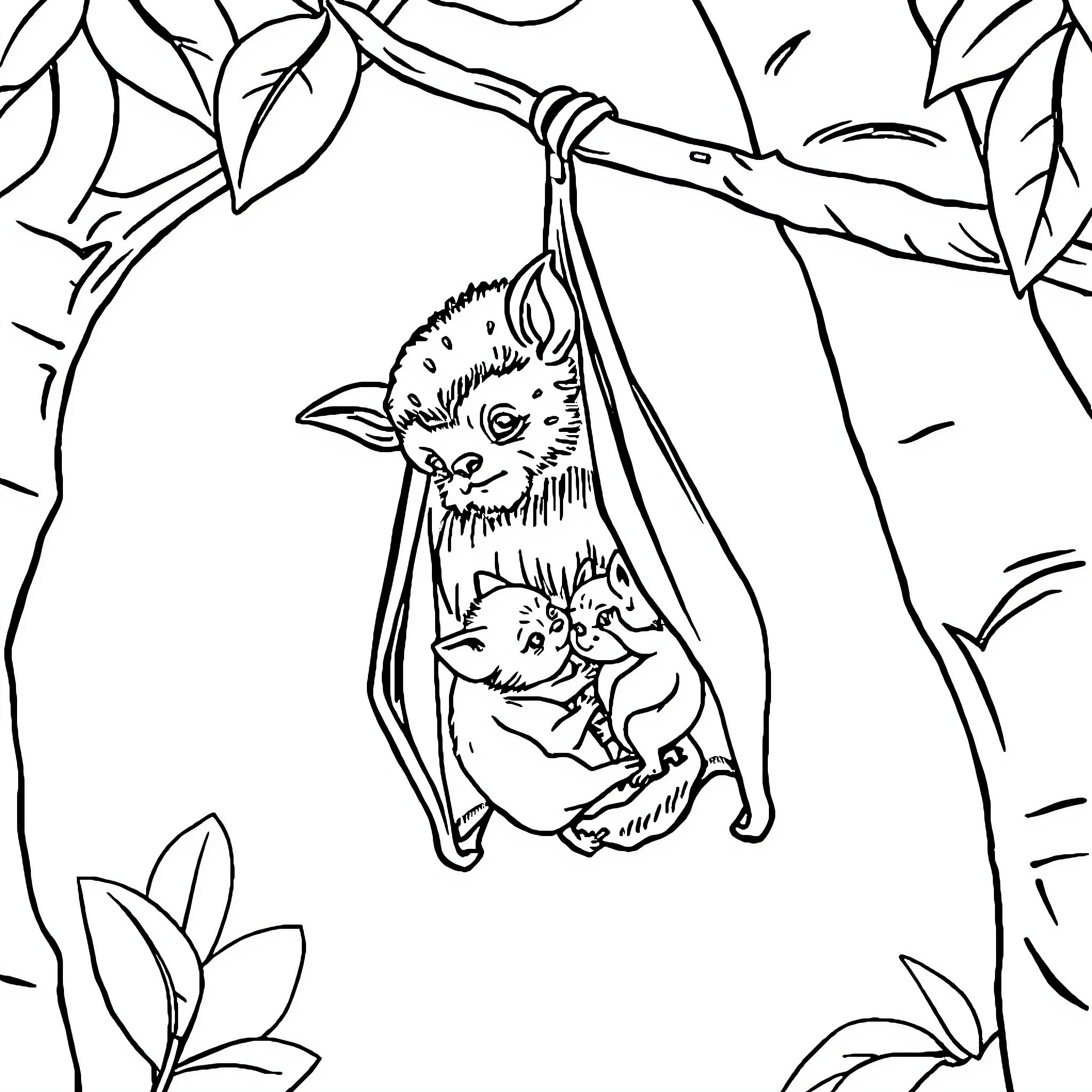 Bat hanging from branch with baby Coloring Page (free black-and-white line drawing printable PDF for all, from beginners to advanced learners, including children, teens, adults, and seniors)