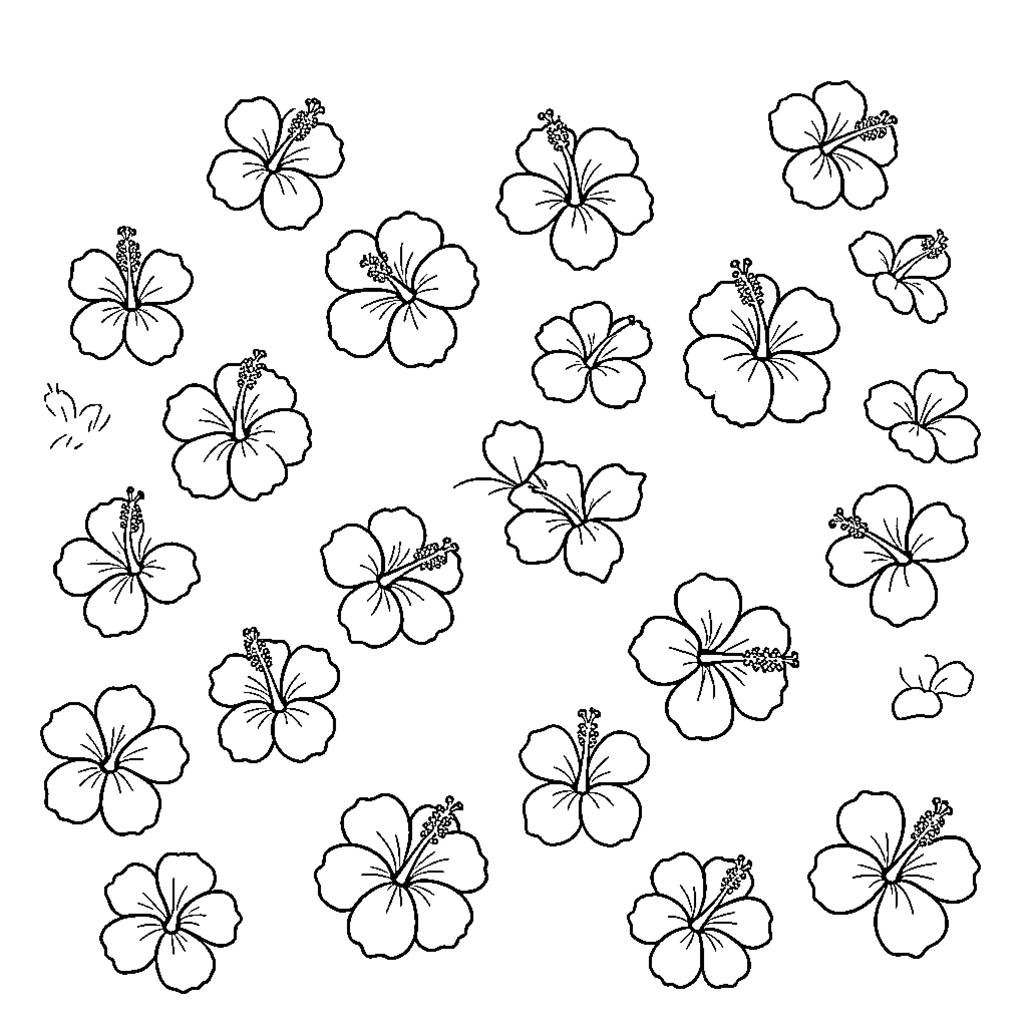 Hibiscus flowers scattered across a plain background Coloring Page (free black-and-white line drawing printable PDF for all, from beginners to advanced learners, including children, teens, adults, and seniors)